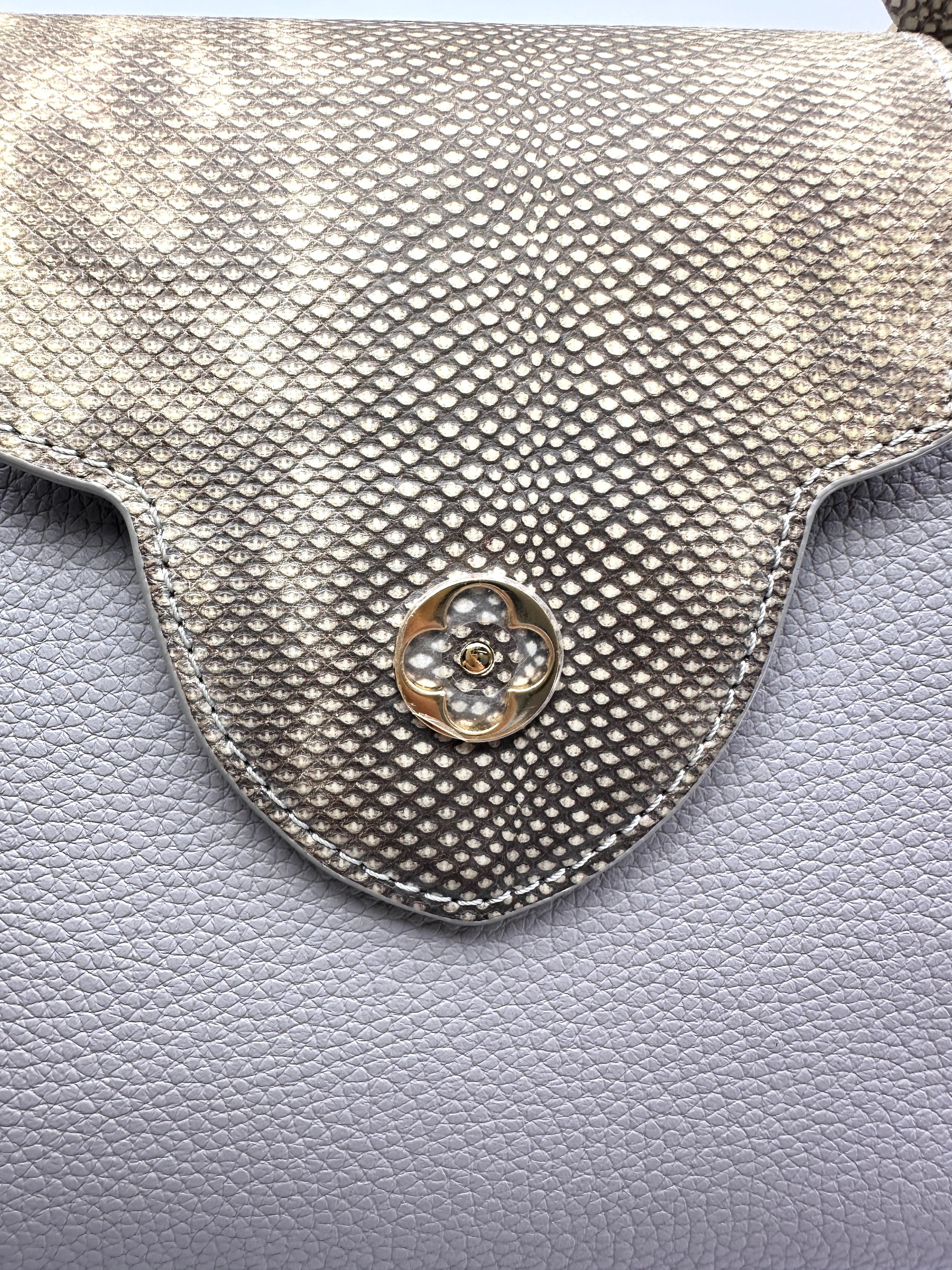 Louis Vuitton Capucines Grey Taurillon Leather Python Handle Bag LV3389
