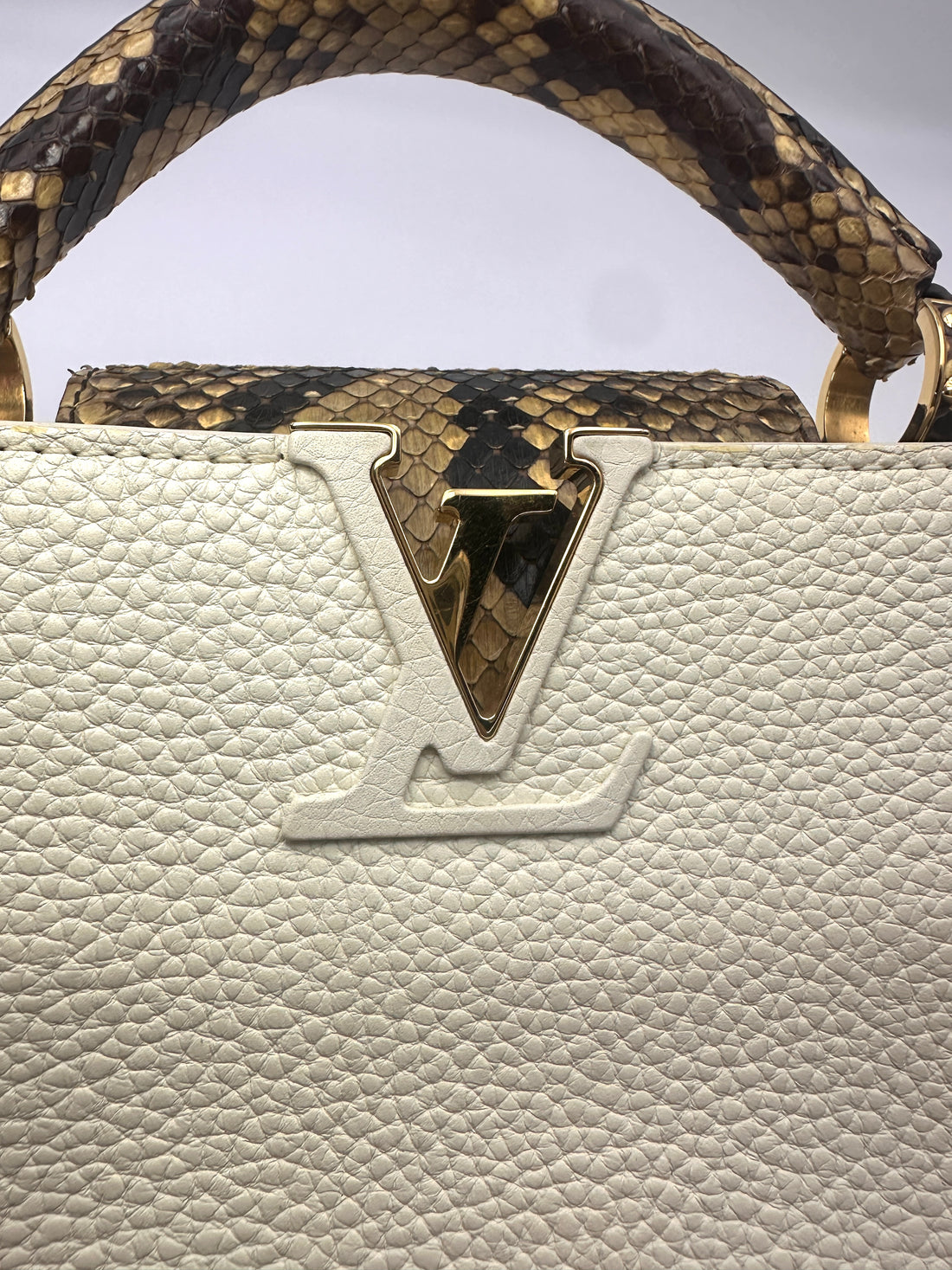 Louis Vuitton Capucines Mini White Taurillon Leather Python Handle Bag IRIS281