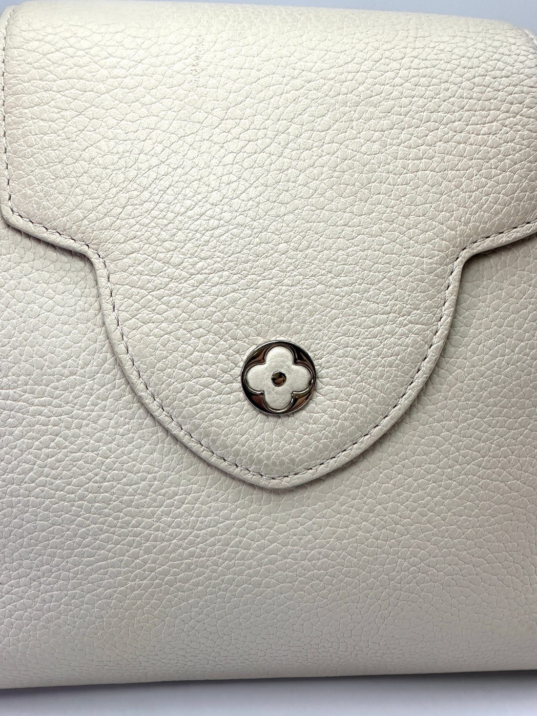 Louis Vuitton Capucines Grey Taurillon Leather Python Handle Bag LV3409