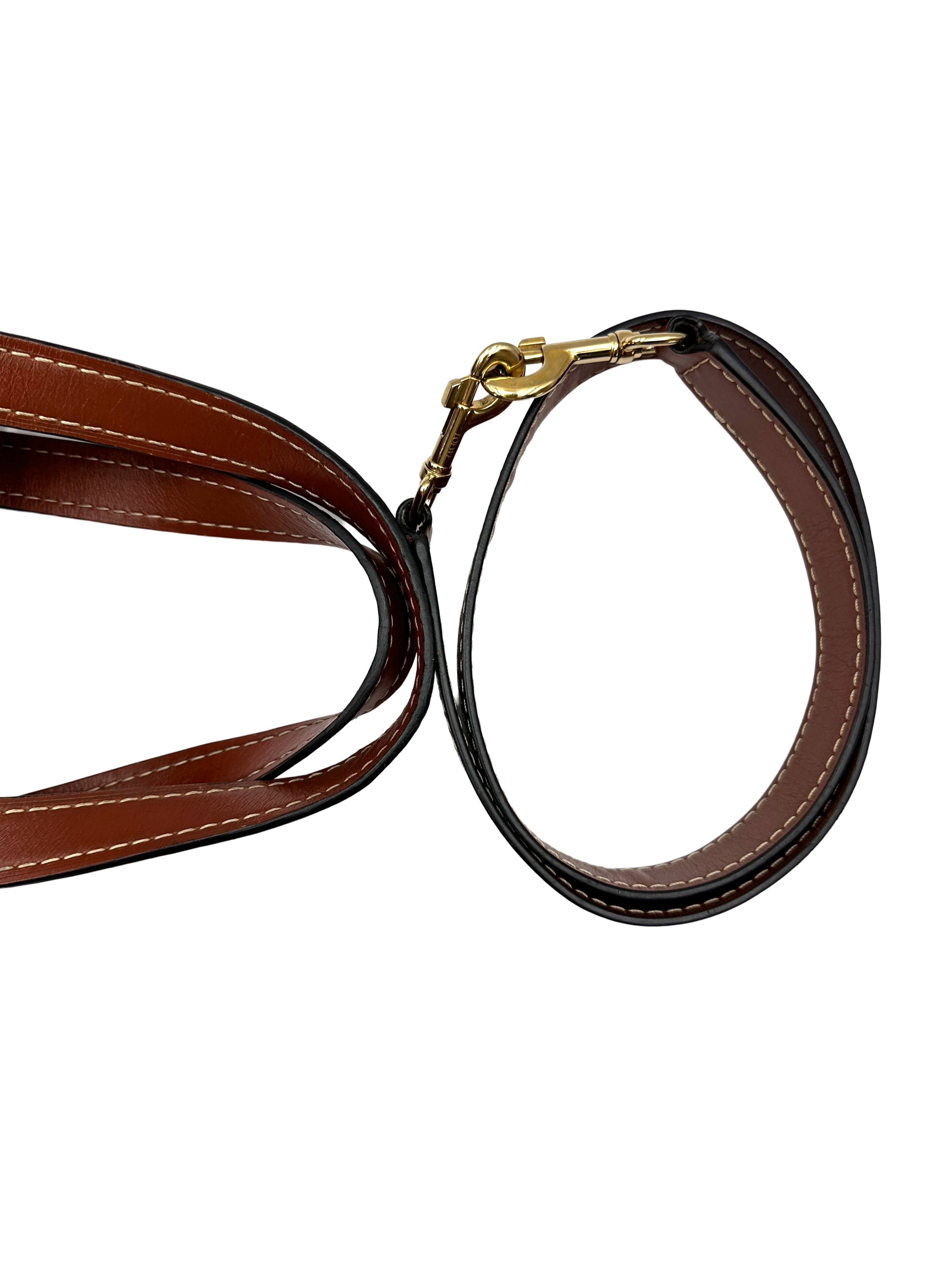 Loewe Gate Brown Leather Medium Size Handle Bag LW106