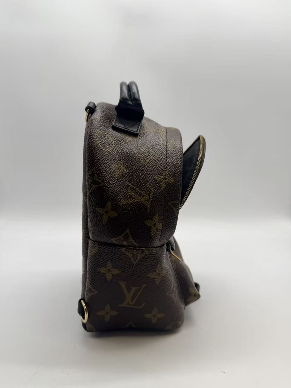 Louis Vuitton Monogram canvas Palm Springs Mini backpack LV1259