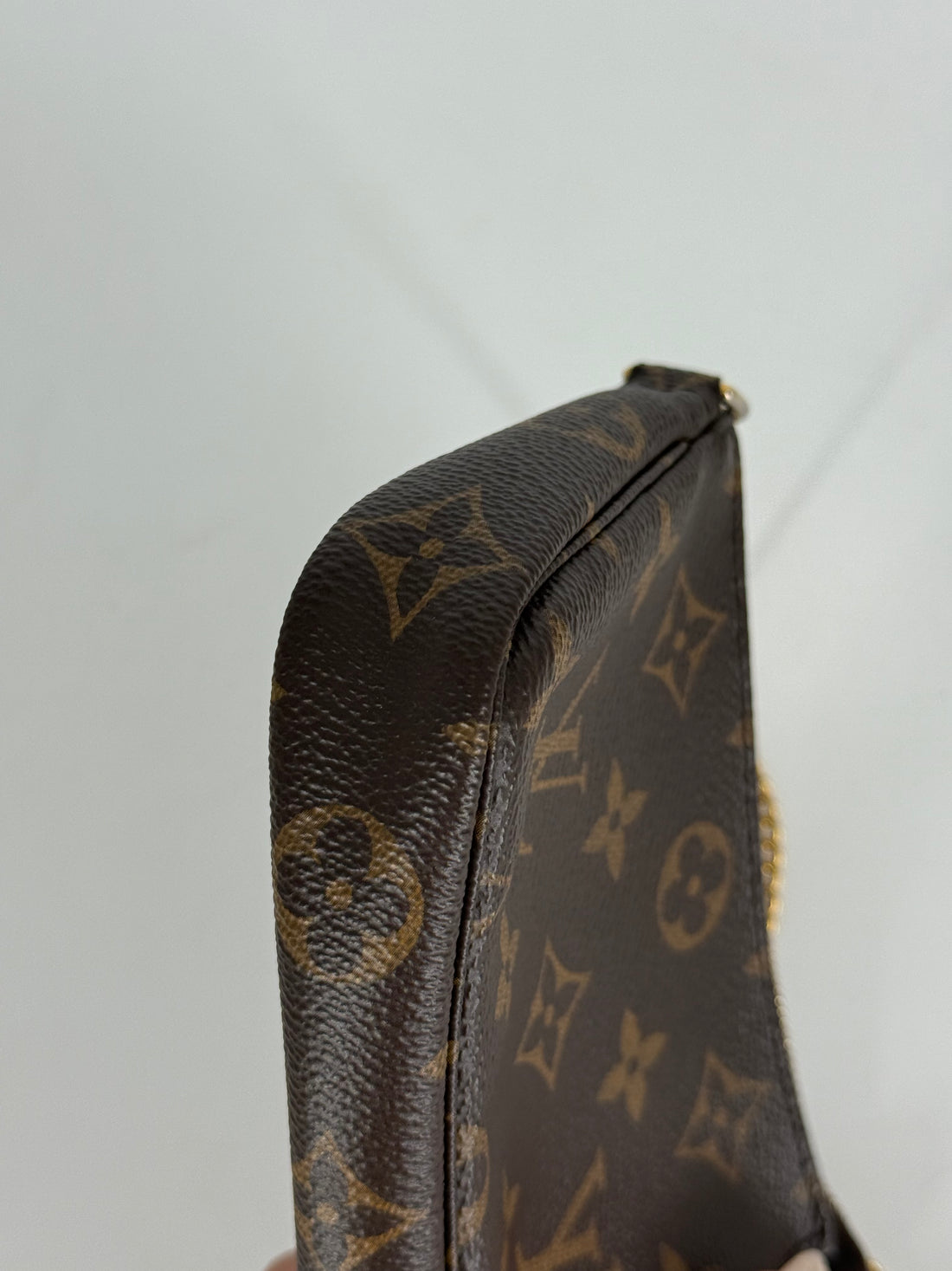 Louis Vuitton Classic Mini Pochette