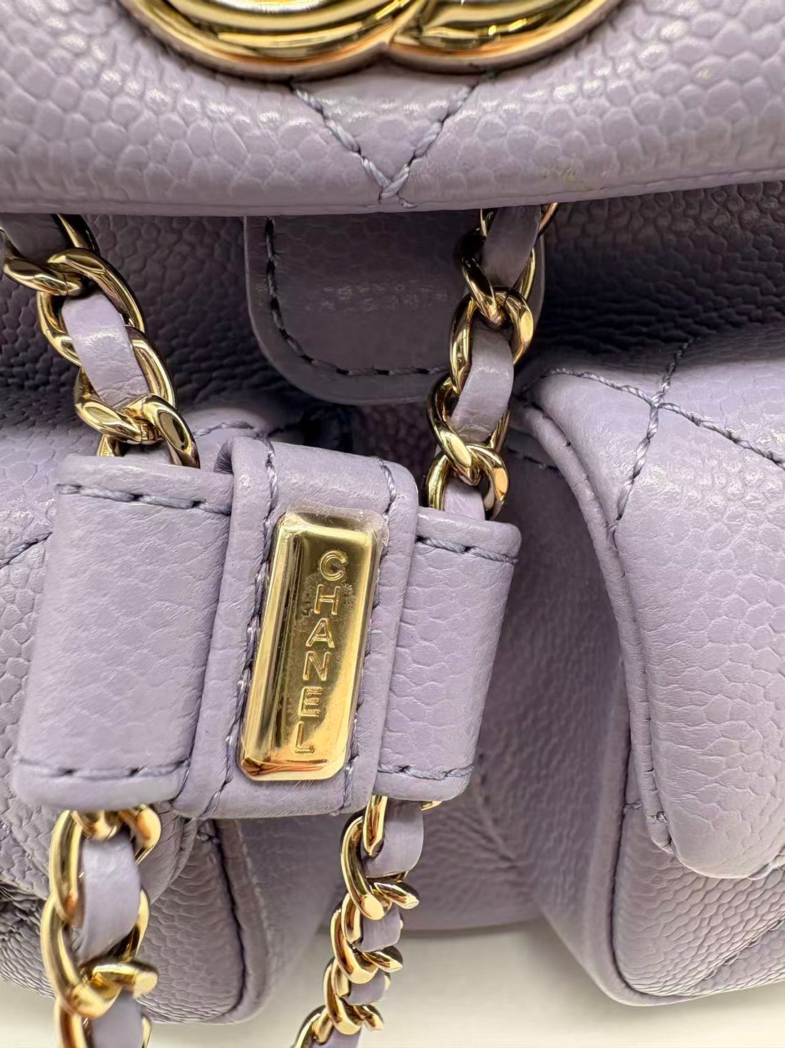 Chanel Quilted Duma Frog Backpack Mini Purple (NT***79) CC788NA