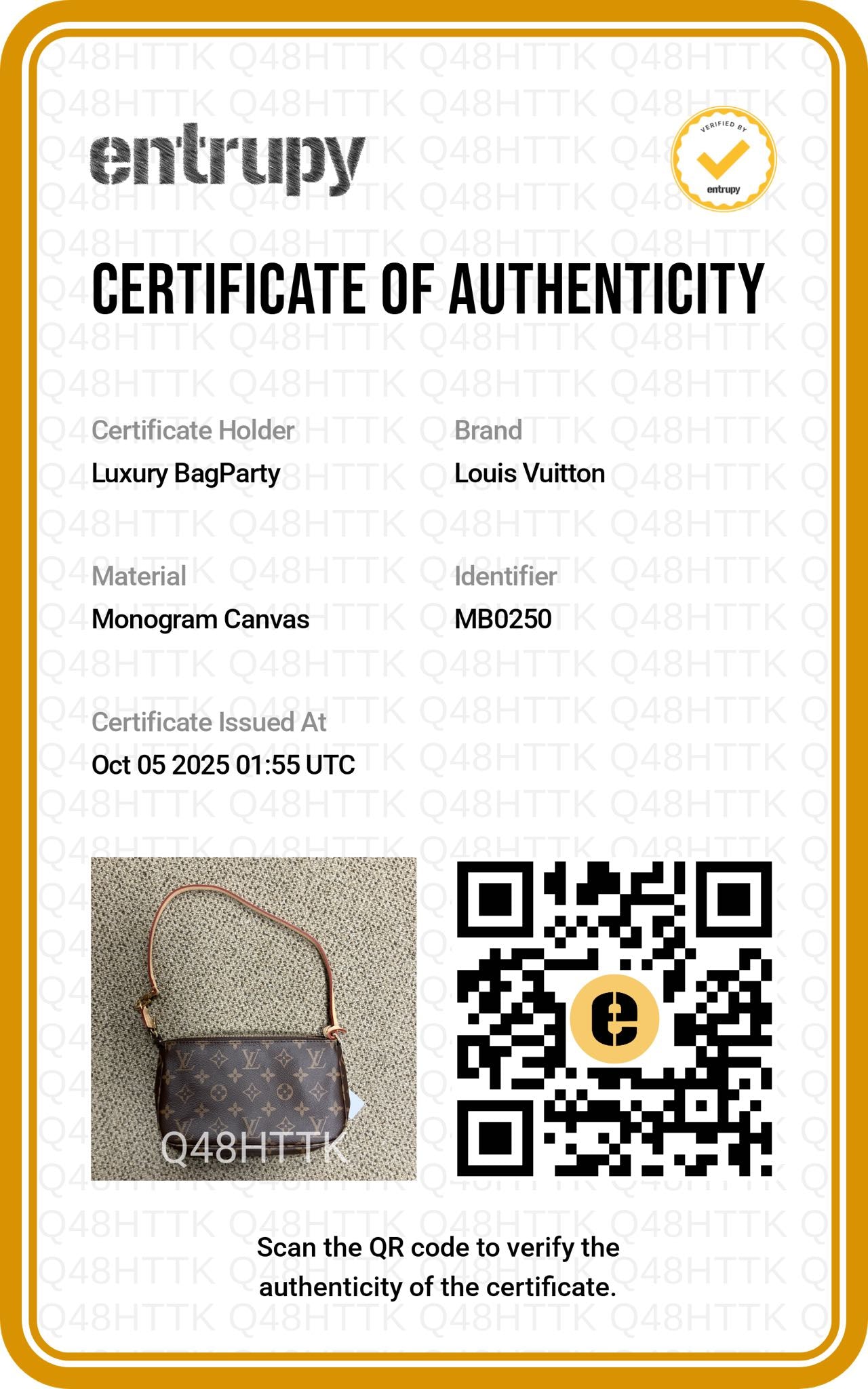 Louis Vuitton Classic Monogram Pochette Accessoires LVPO