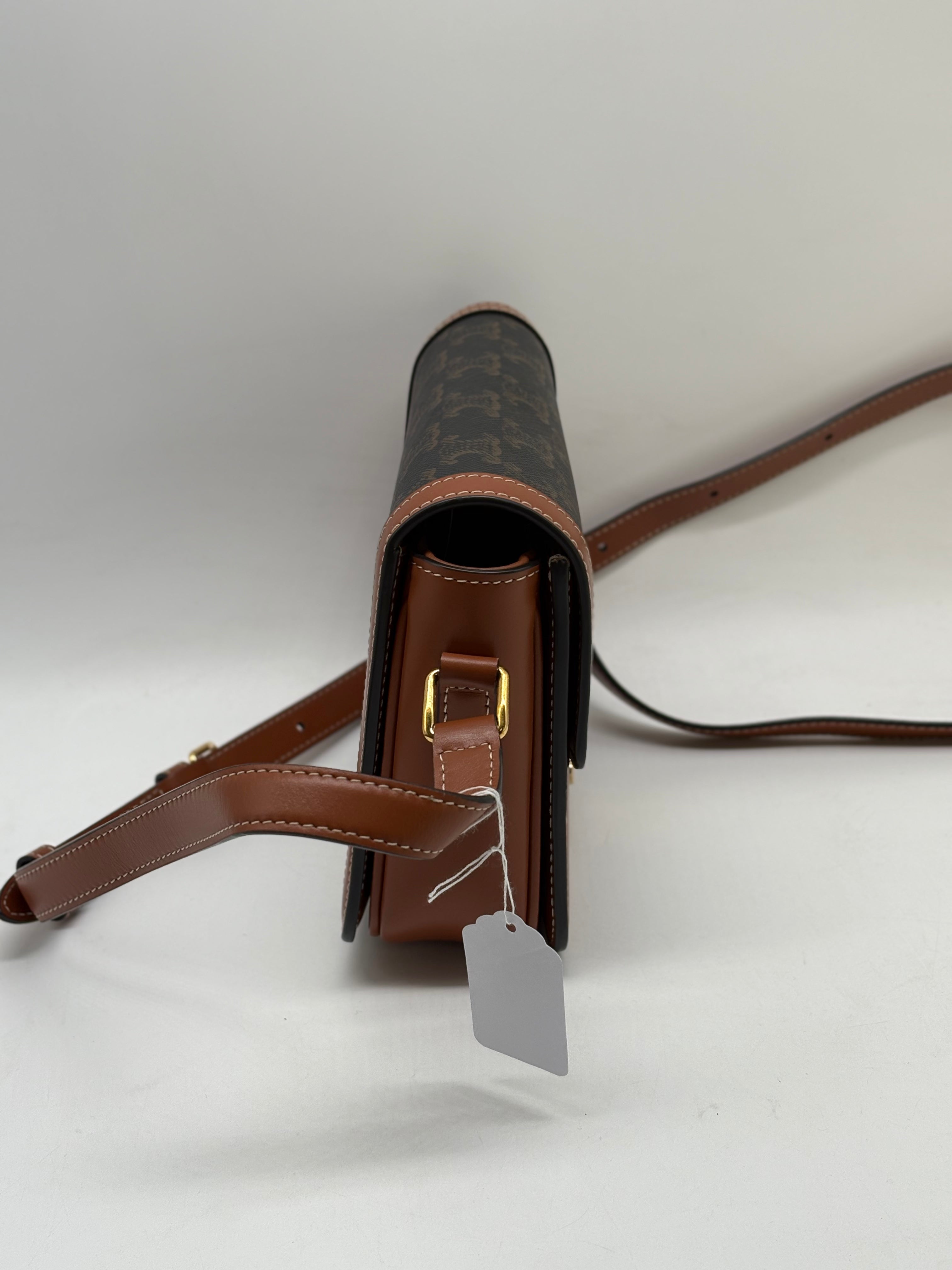 Celine Teen Triomphe Canvas Shoulder Bag CECANVAS