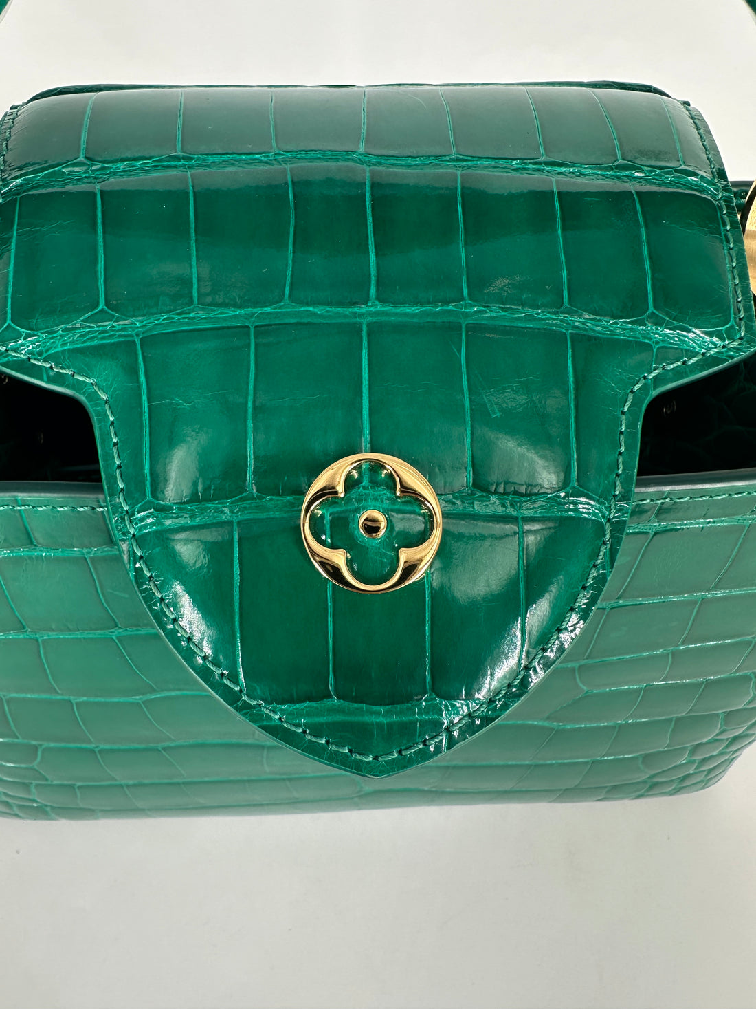 Louis Vuitton Alligator Capucines BB