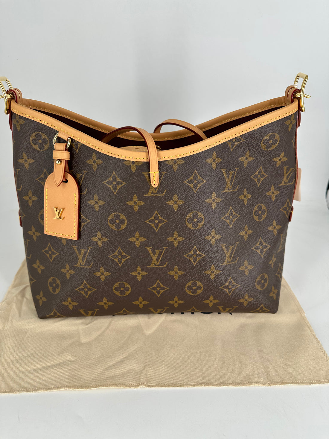 Louis Vuitton Classic Monogram Carryall PM Microchipped 2025 LV934