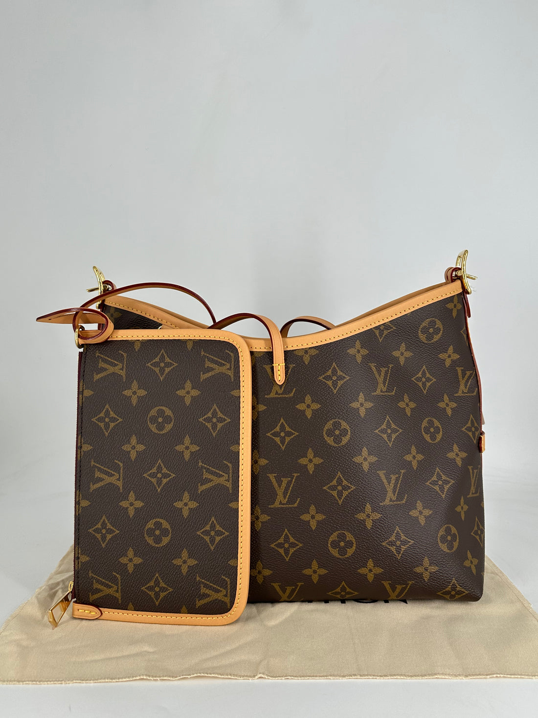Louis Vuitton Classic Monogram Carryall PM Microchipped 2025 LV934