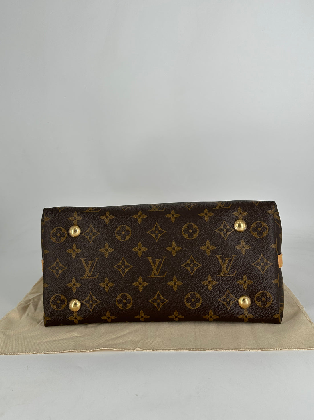 Louis Vuitton Classic Monogram Carryall PM Microchipped 2025 LV934