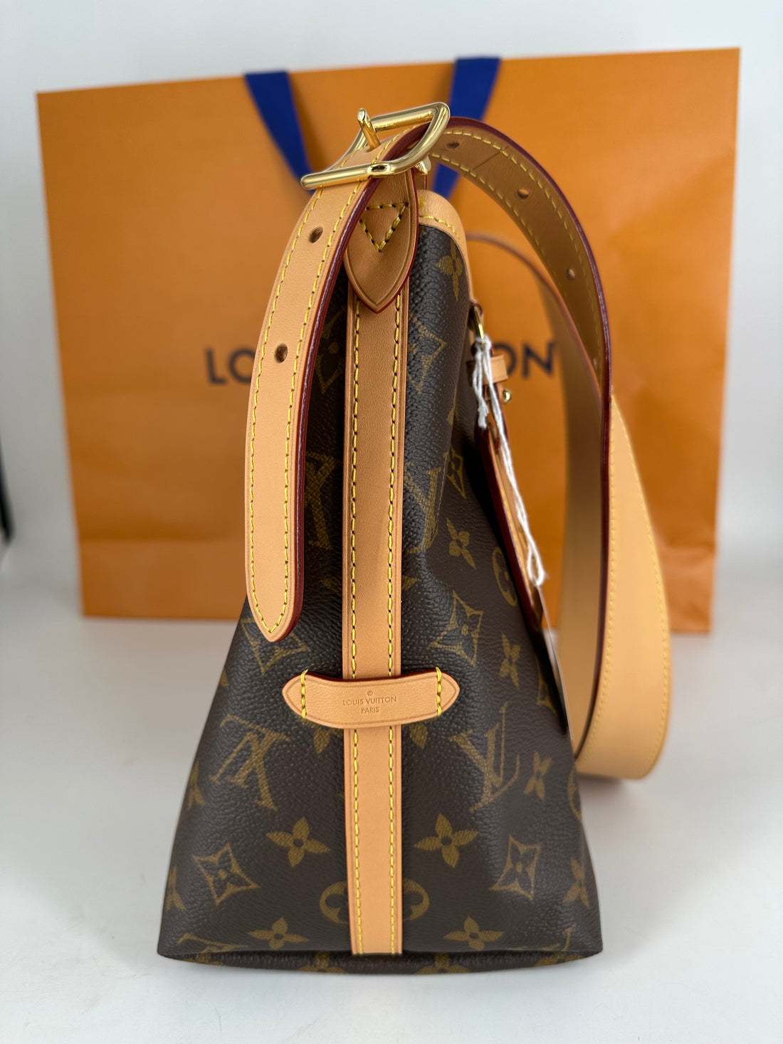 Louis Vuitton Classic Monogram Carryall PM Microchipped 2025 LV972