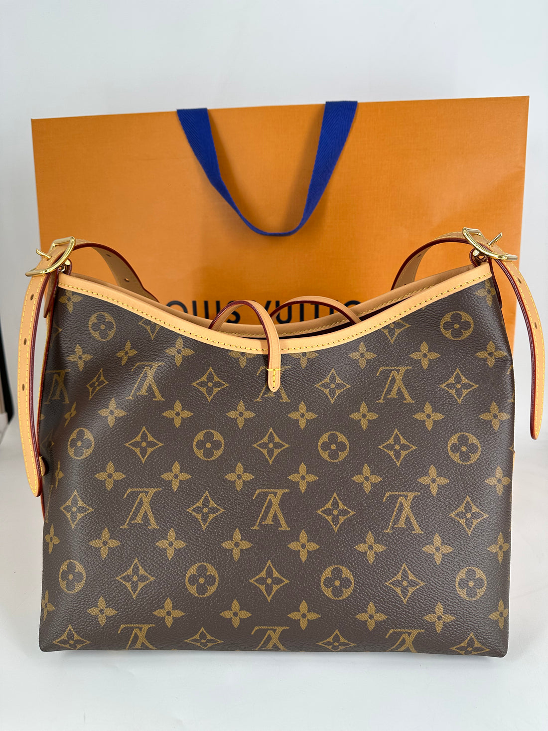 Louis Vuitton Classic Monogram Carryall PM Microchipped 2025 LV972