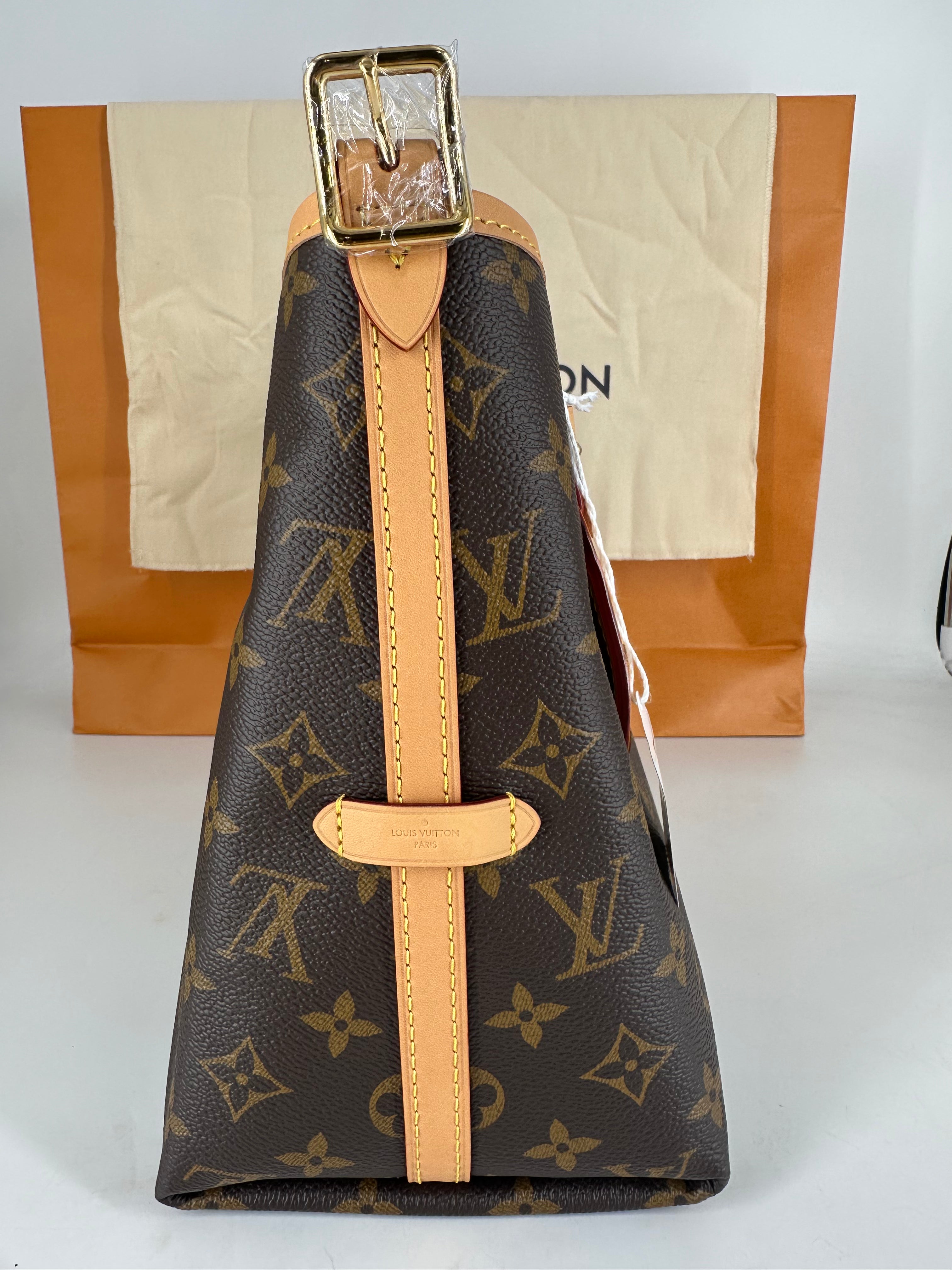 Louis Vuitton Classic Monogram Carryall PM Microchipped 2025 LV936