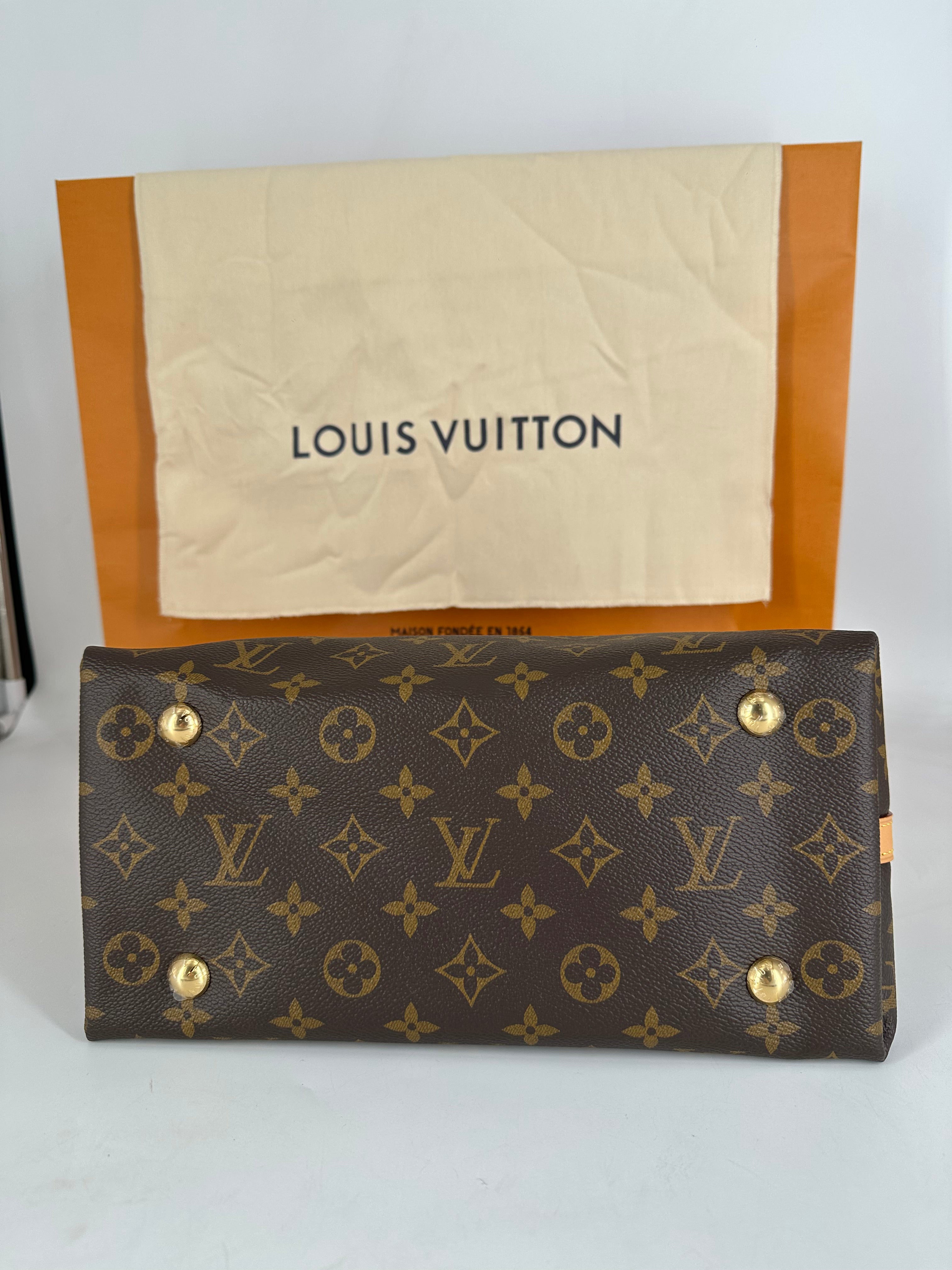 Louis Vuitton Classic Monogram Carryall PM Microchipped 2025 LV936