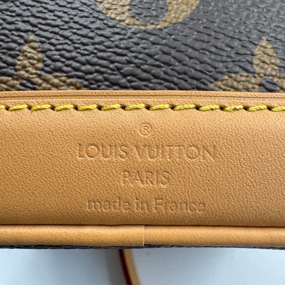 Louis Vuitton Monogram Nano Noe NV LV169