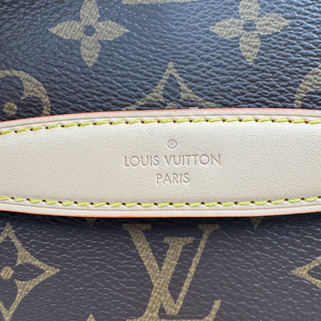 Louis Vuitton Classic Monogram Bumbag Microchipped lv647