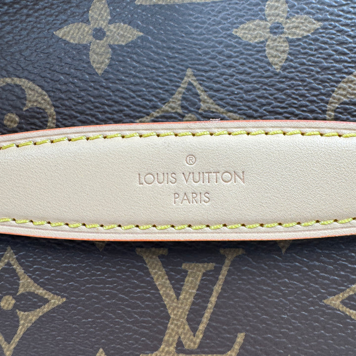 LOUIS VUITTON  Monogram Bumbag