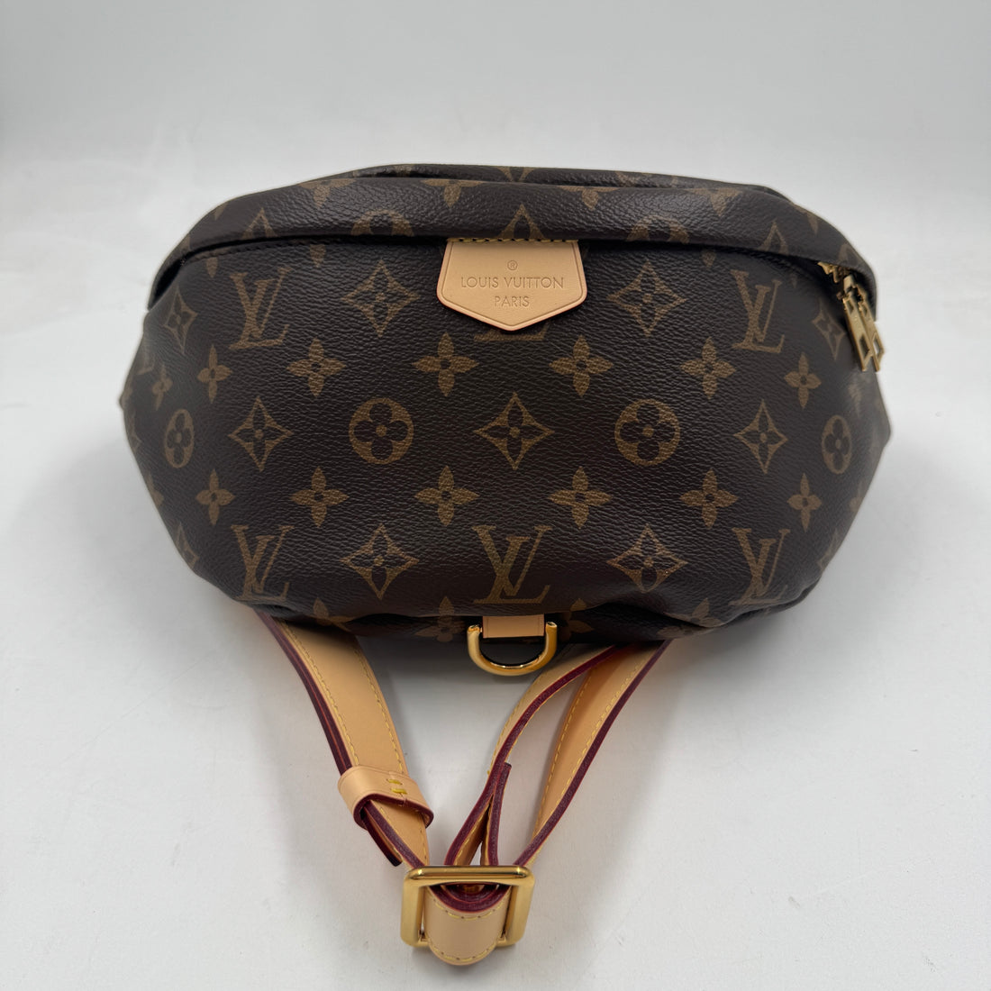 Louis Vuitton Classic Monogram Bumbag Microchipped lv647