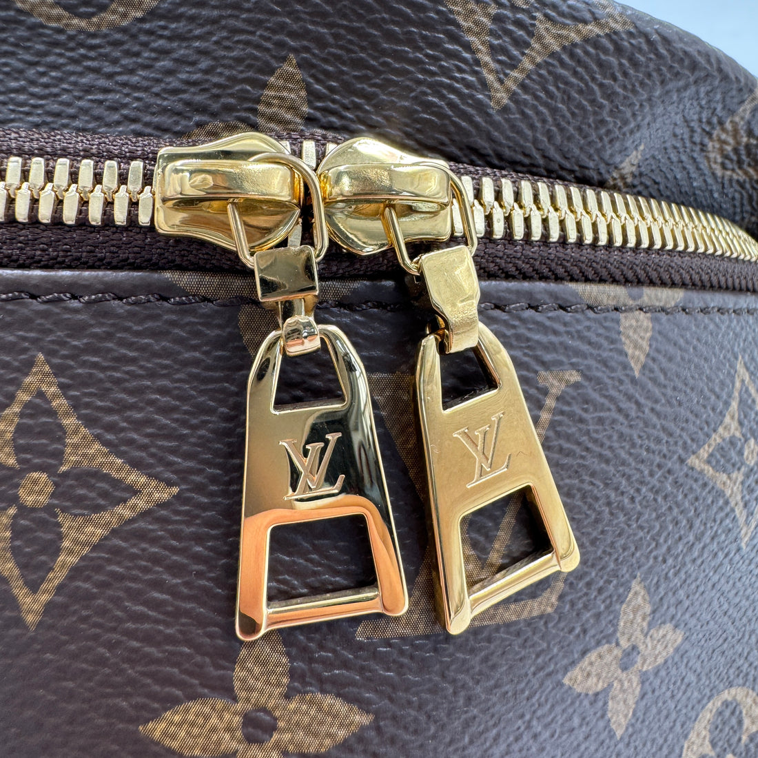 Louis Vuitton Classic Monogram Bumbag Microchipped lv647