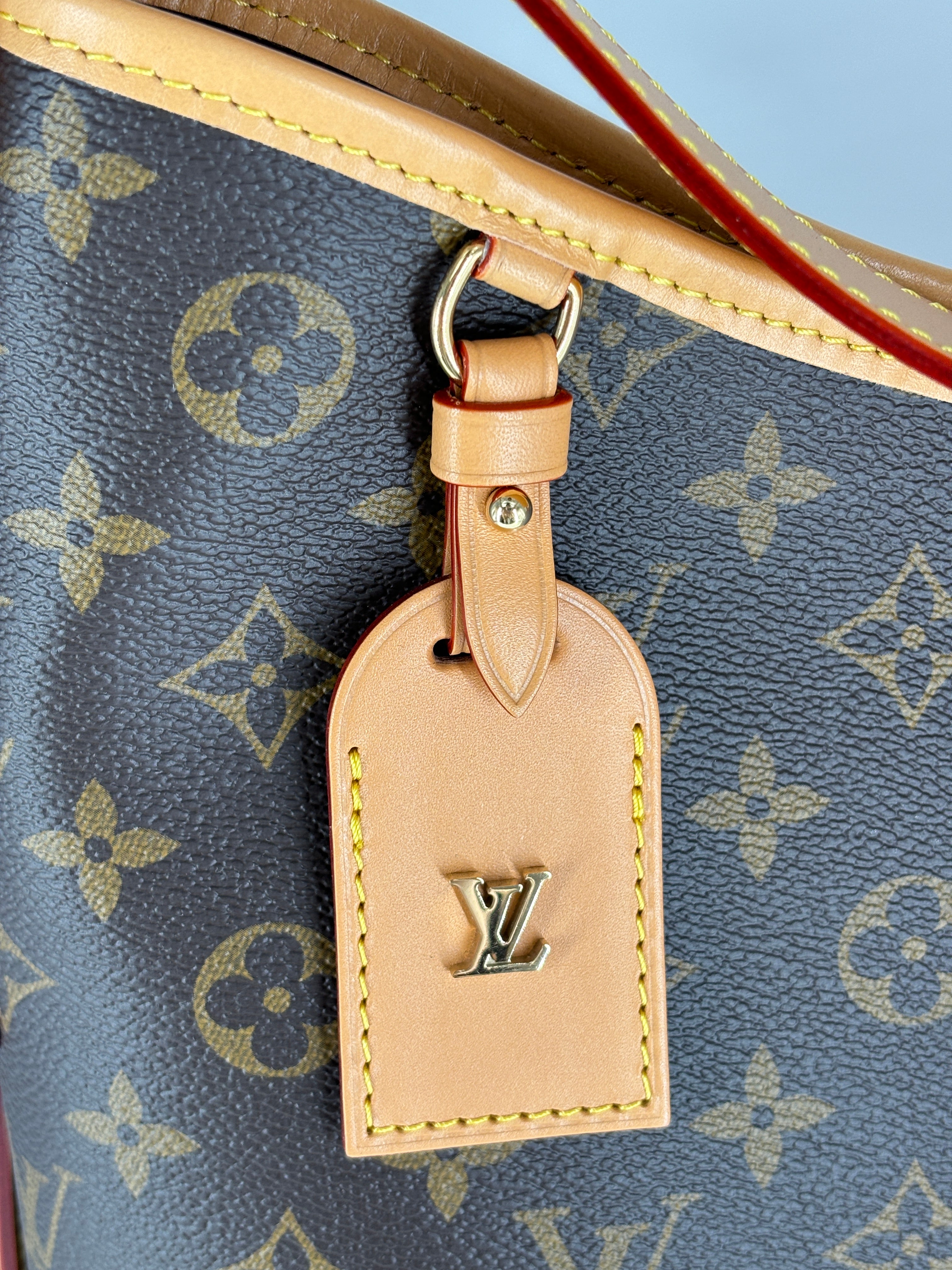 Louis Vuitton Classic Monogram Carryall PM Microchipped 2025 LV839