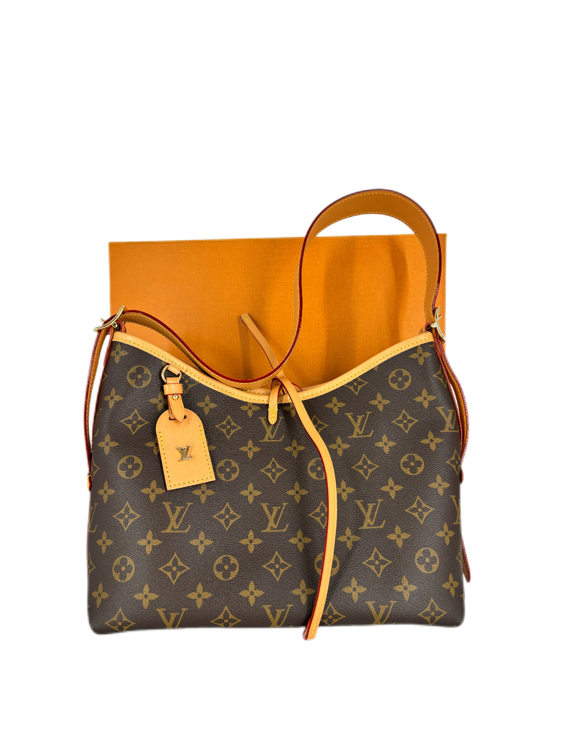 Louis Vuitton Classic Monogram Carryall PM Microchipped 2025 LV839