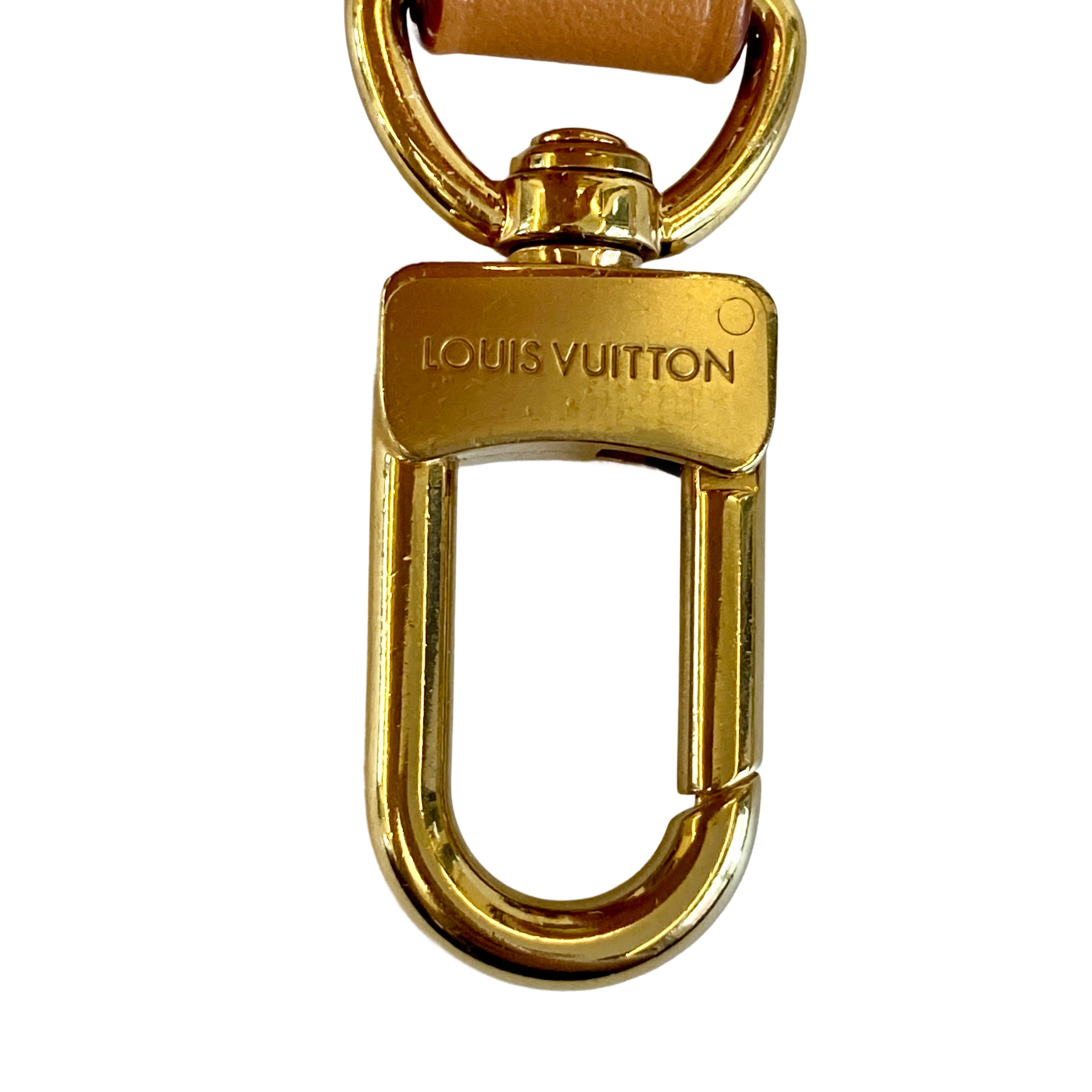 Louis Vuitton Side Trunk PM Classic Monogram Microchipped 2025 LV1009