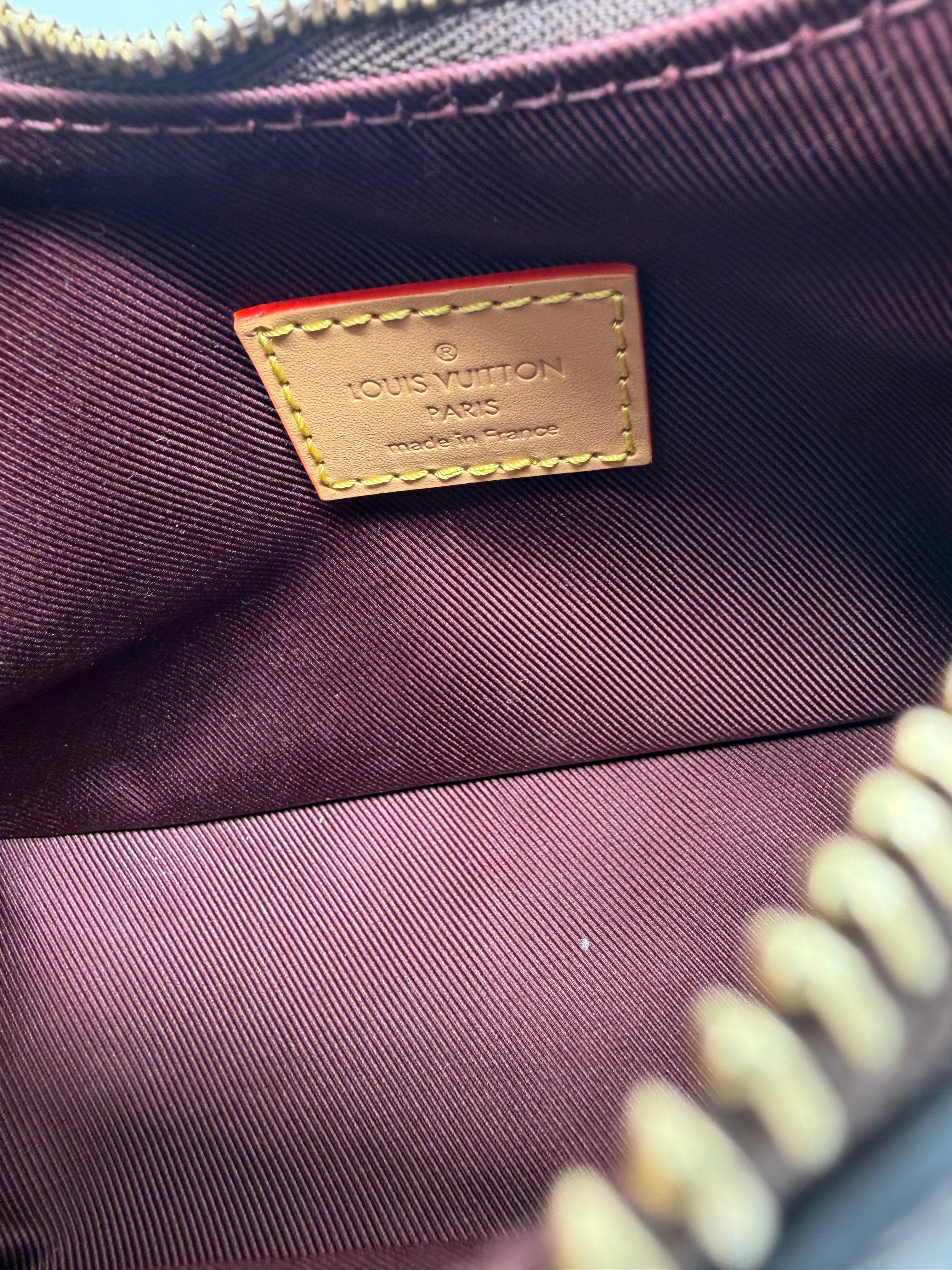 Louis Vuitton Classic Monogram Boulogne Nano LV1145