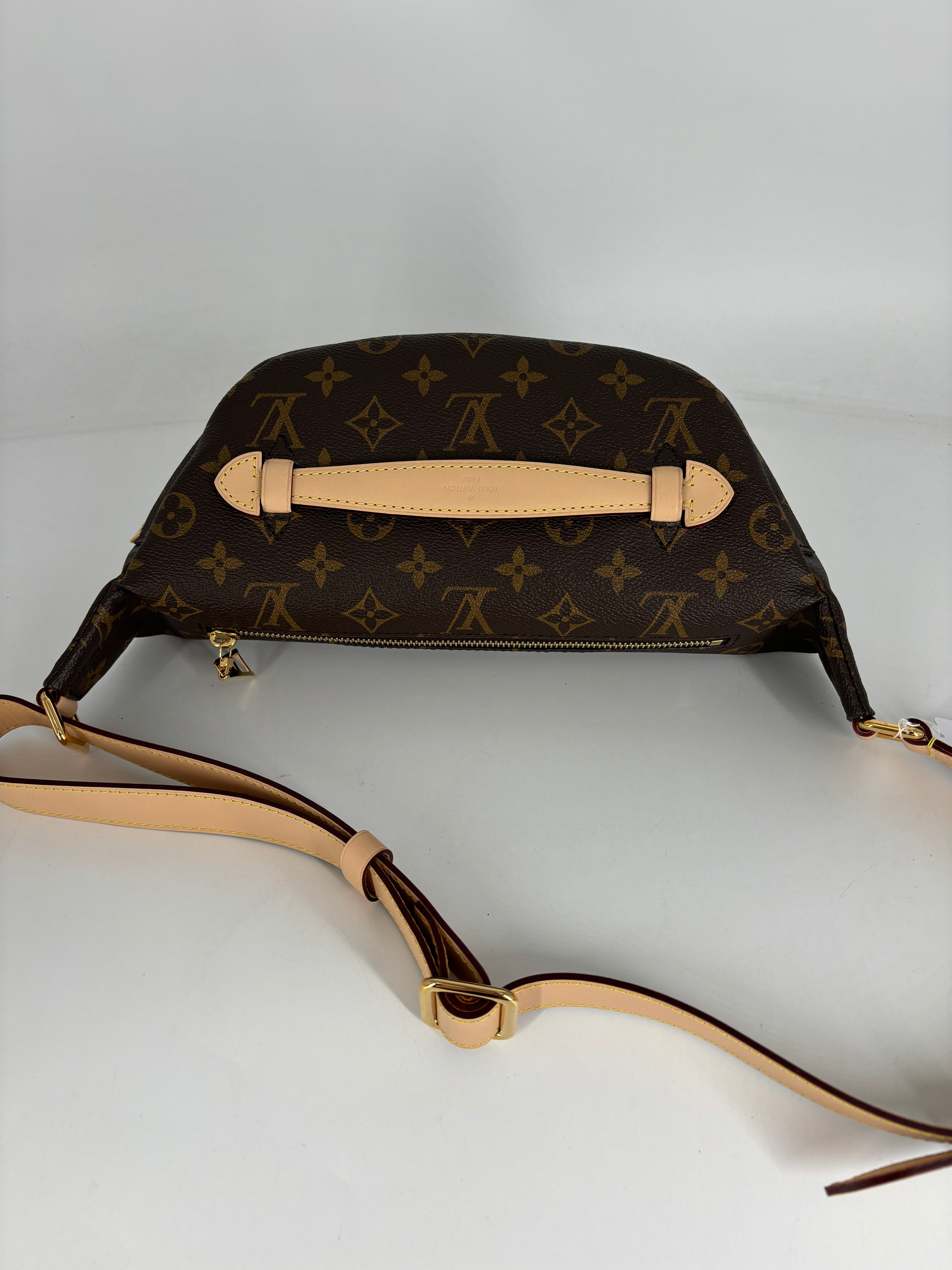 Louis Vuitton Classic Monogram Bumbag Microchipped 2023 Fullset