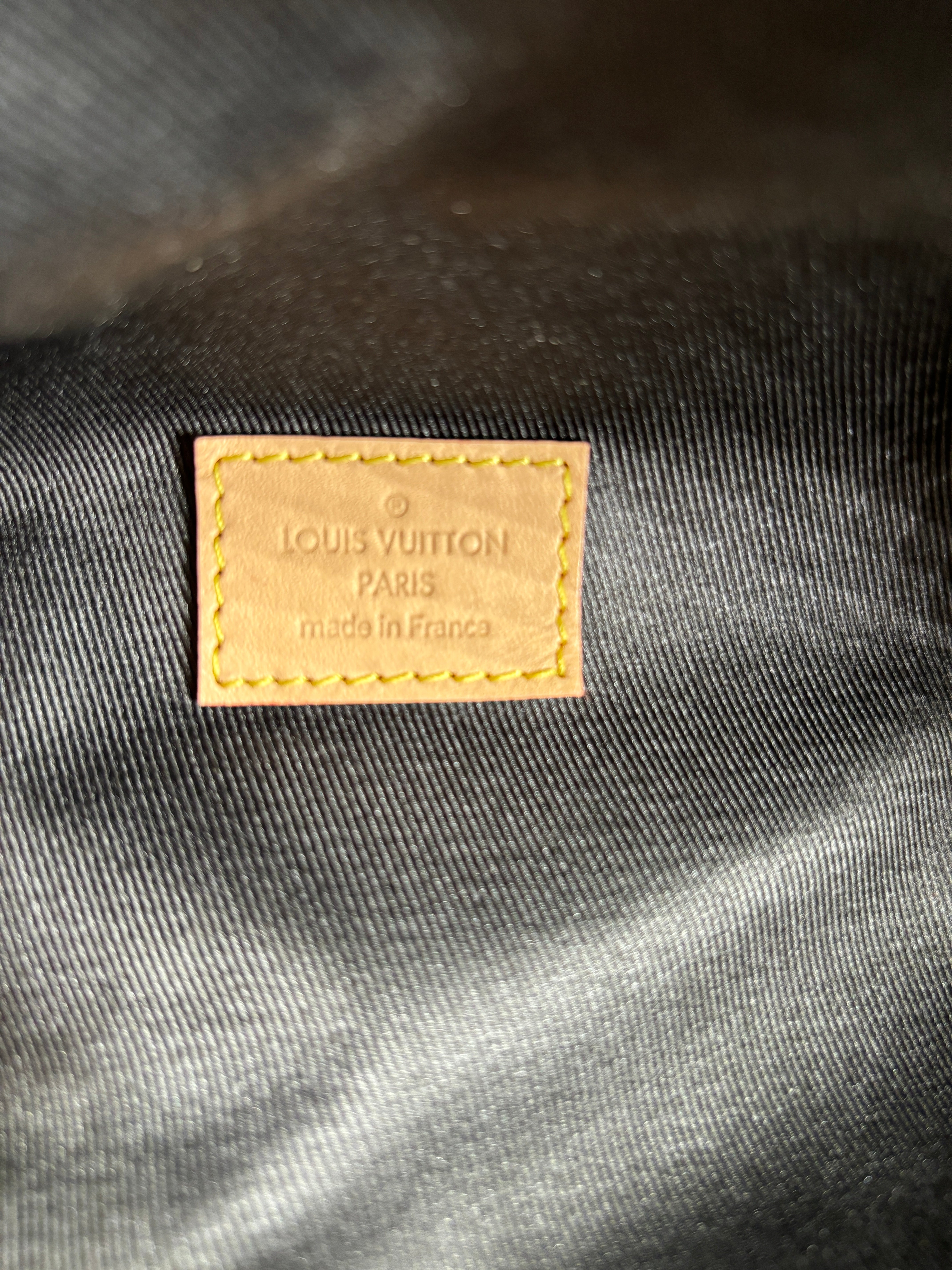 Louis Vuitton Classic Monogram Bumbag Microchipped 2023 Fullset