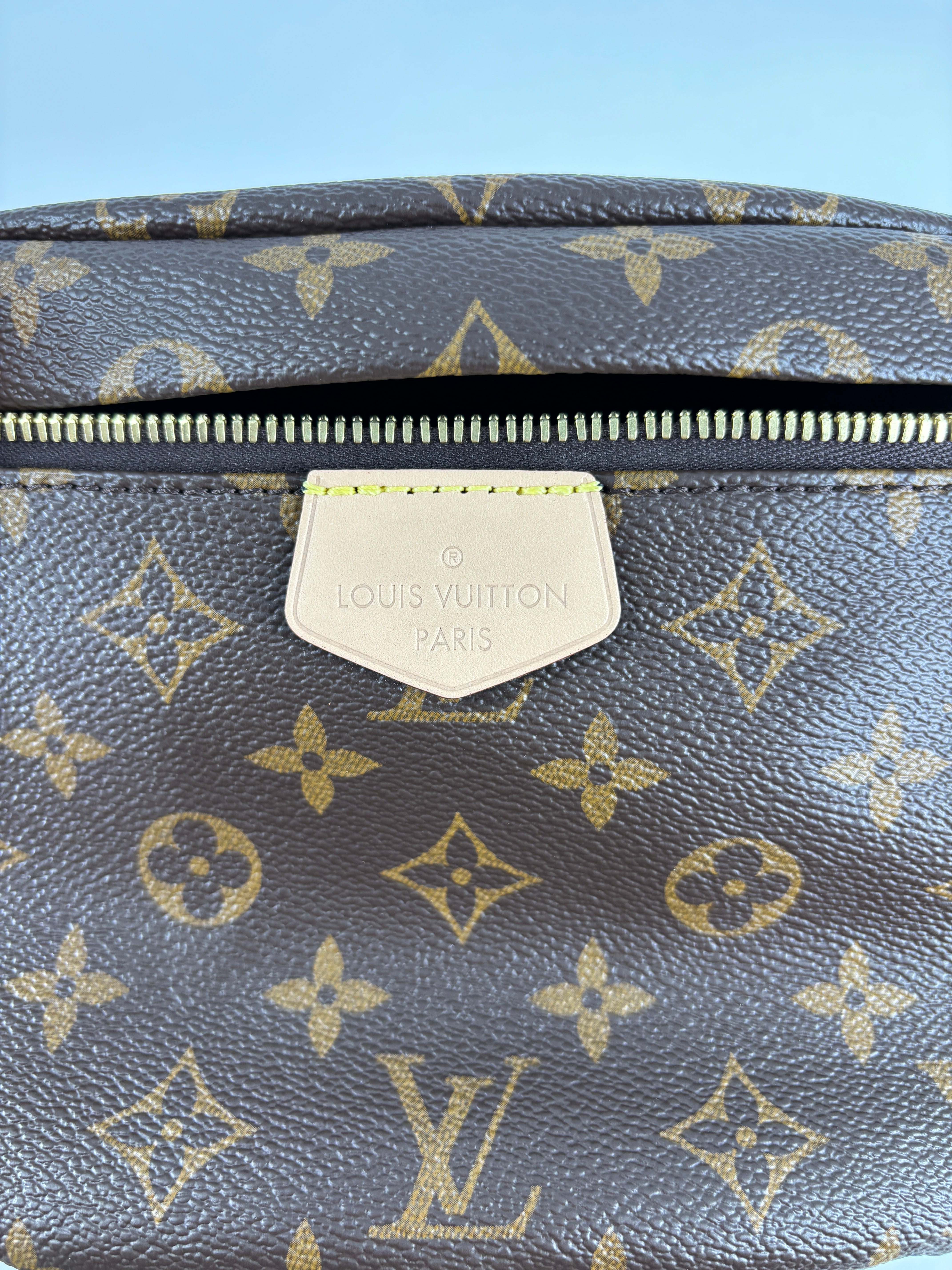 Louis Vuitton Classic Monogram Bumbag Microchipped 2023 Fullset