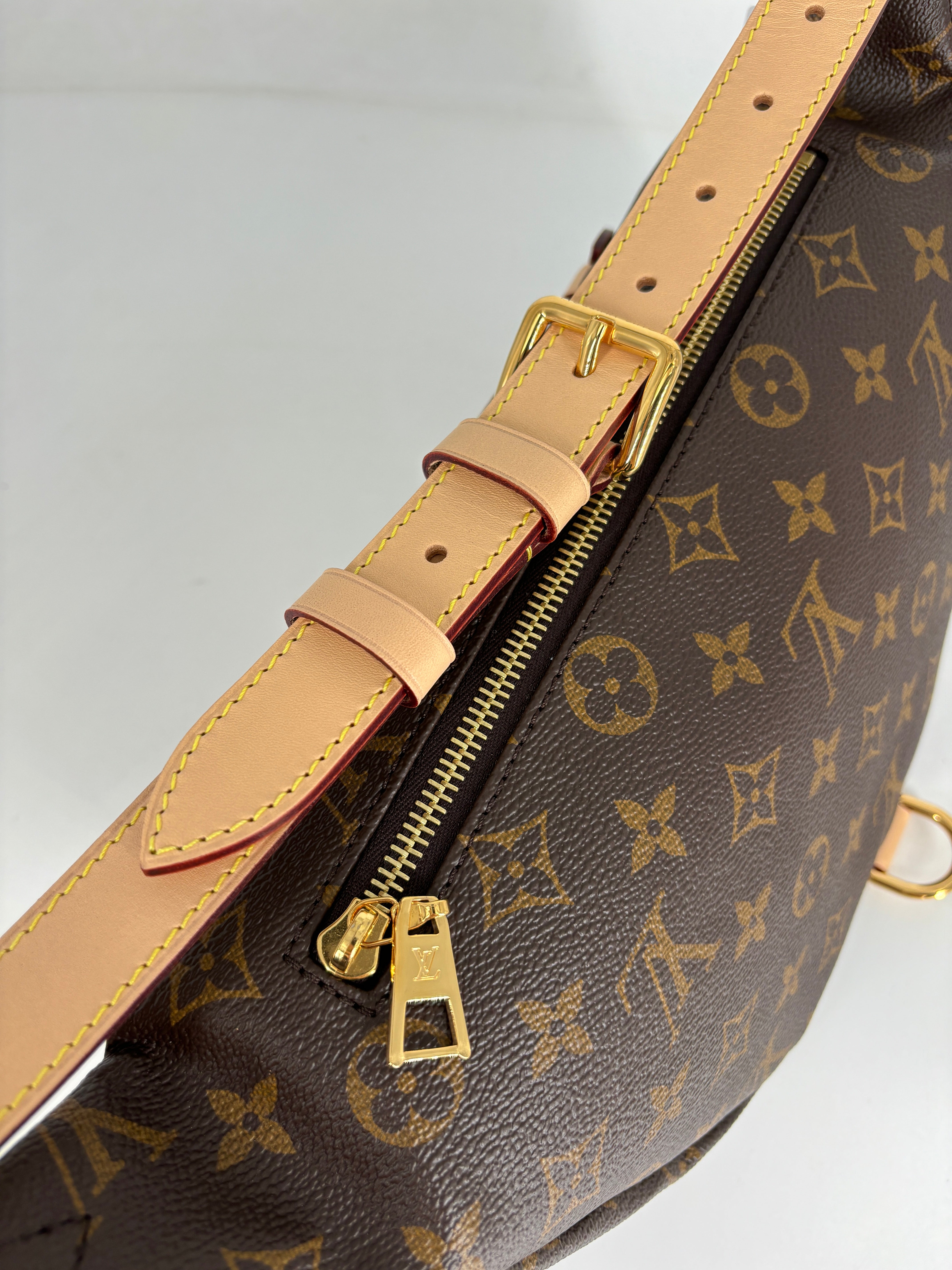 Louis Vuitton Classic Monogram Bumbag Microchipped 2023 Fullset