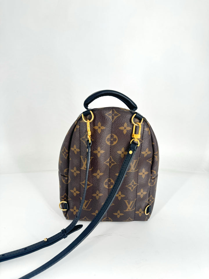 Louis Vuitton Classic Palmspring Mini