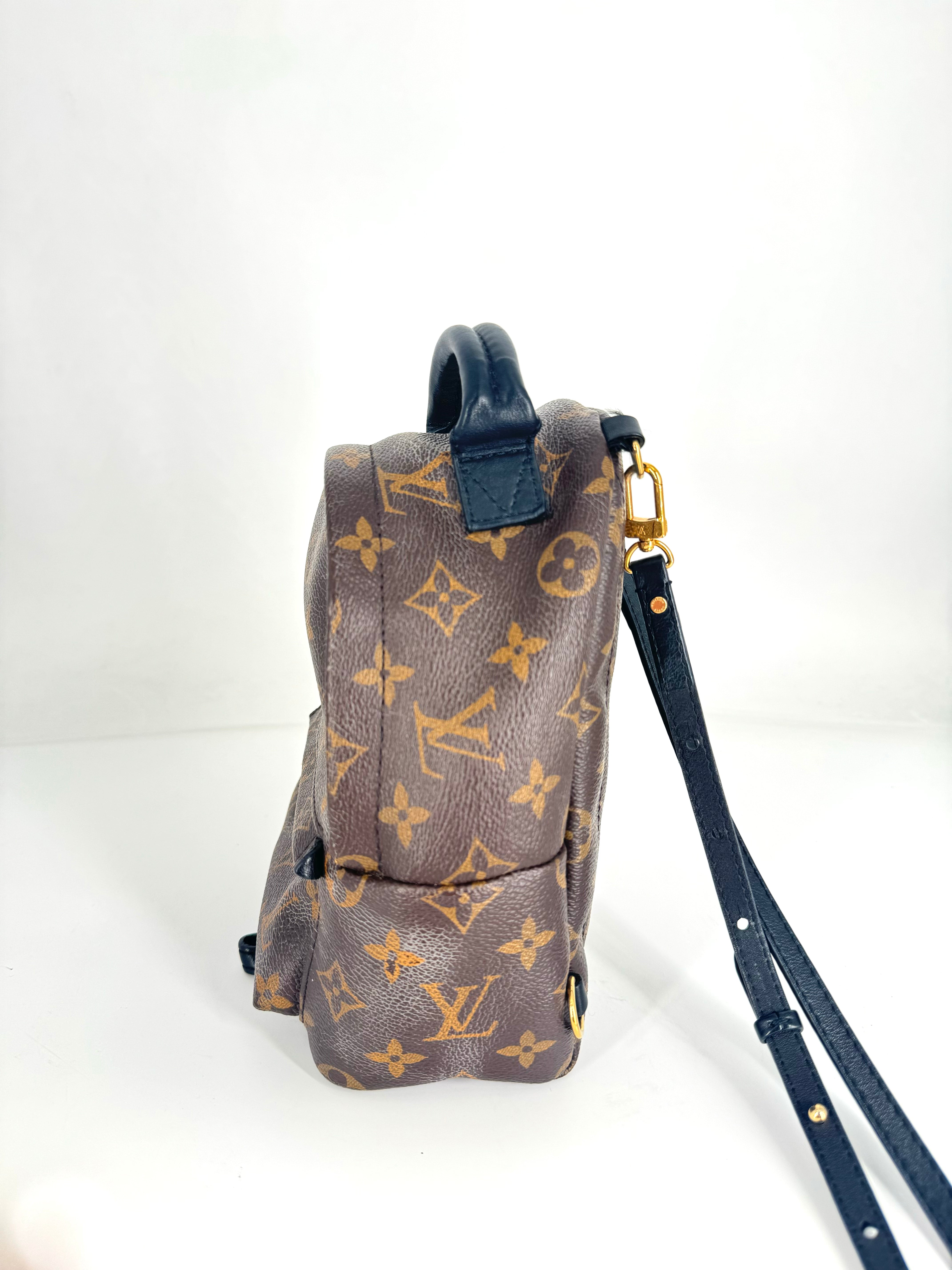 Louis Vuitton Palmspring Mini Back LV951