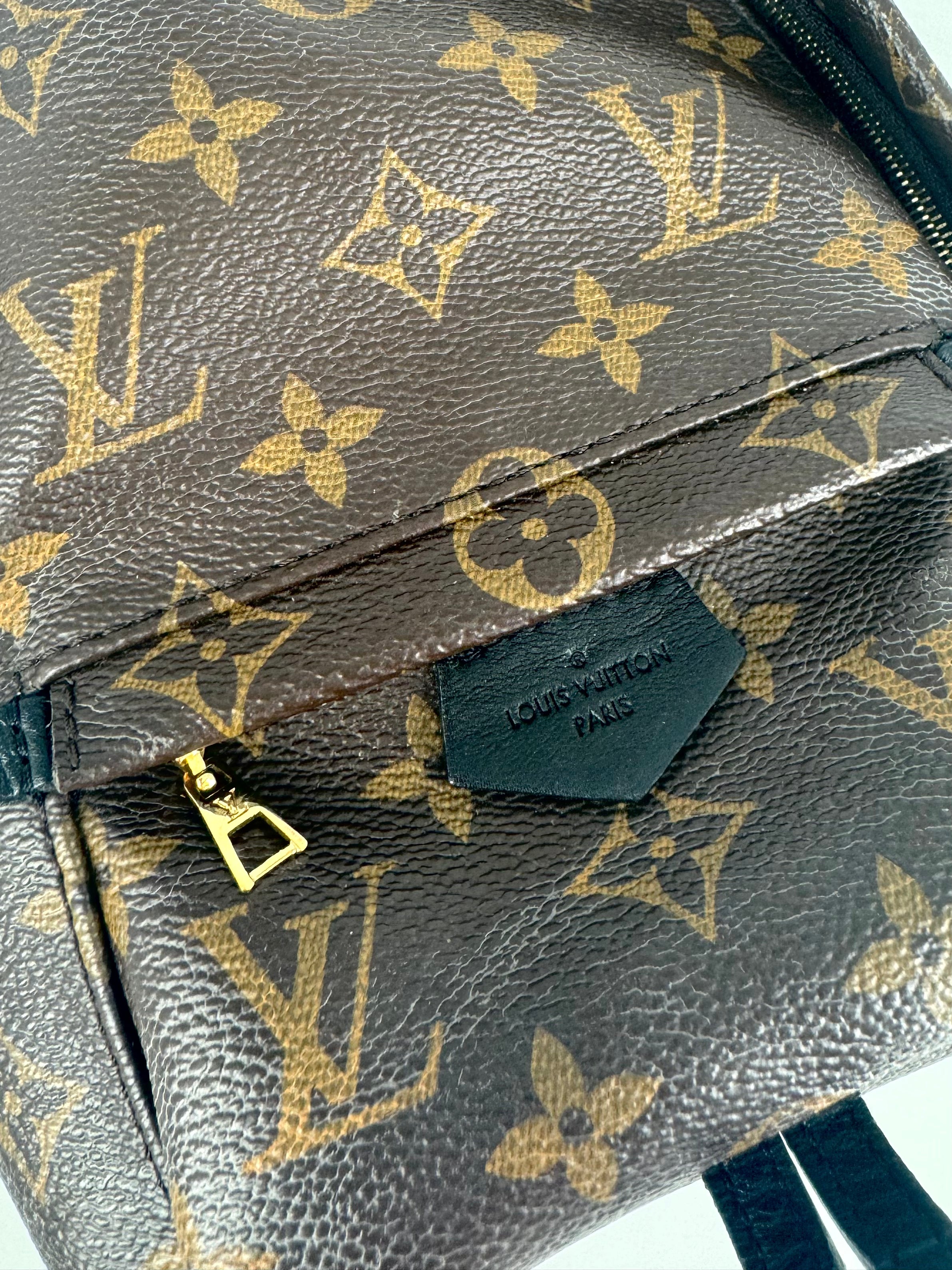 Louis Vuitton Palmspring Mini Back LV951