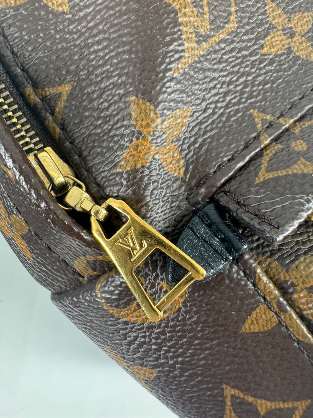 Louis Vuitton Palmspring Mini Back LV908