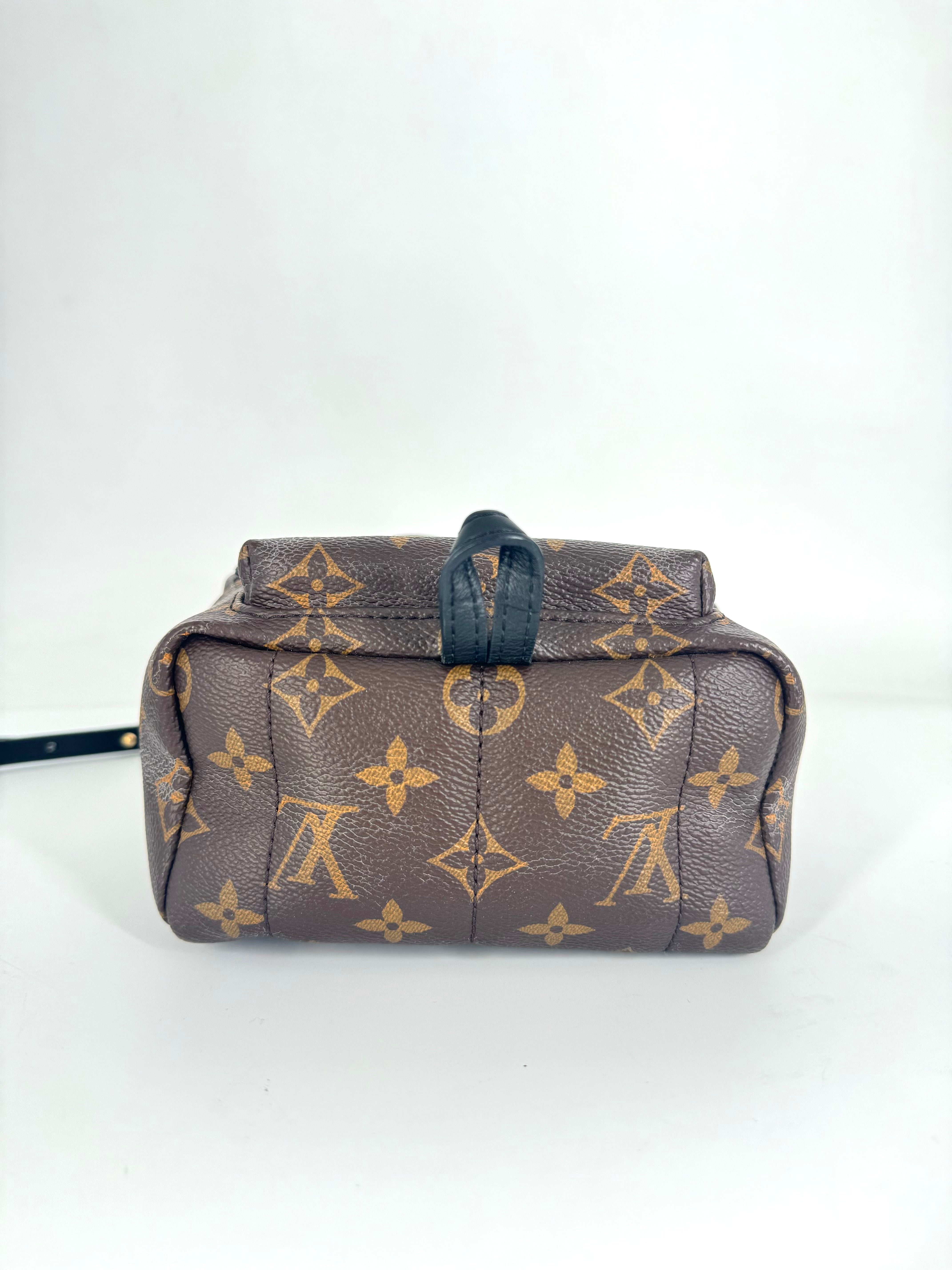 Louis Vuitton Palmspring Mini Back LV951