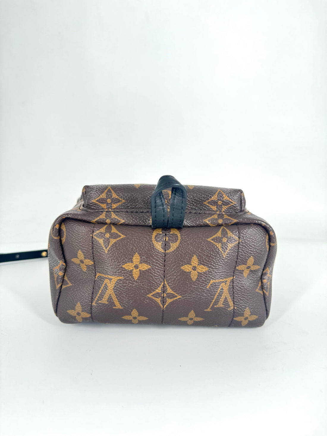 Louis Vuitton Palmspring Mini Back LV908