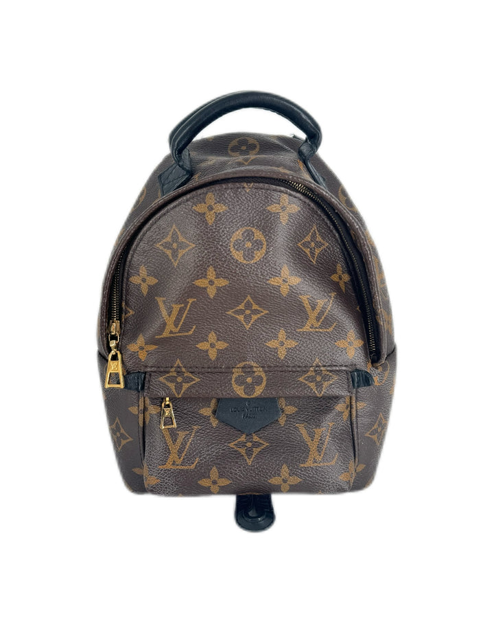Louis Vuitton Classic Palmspring Mini