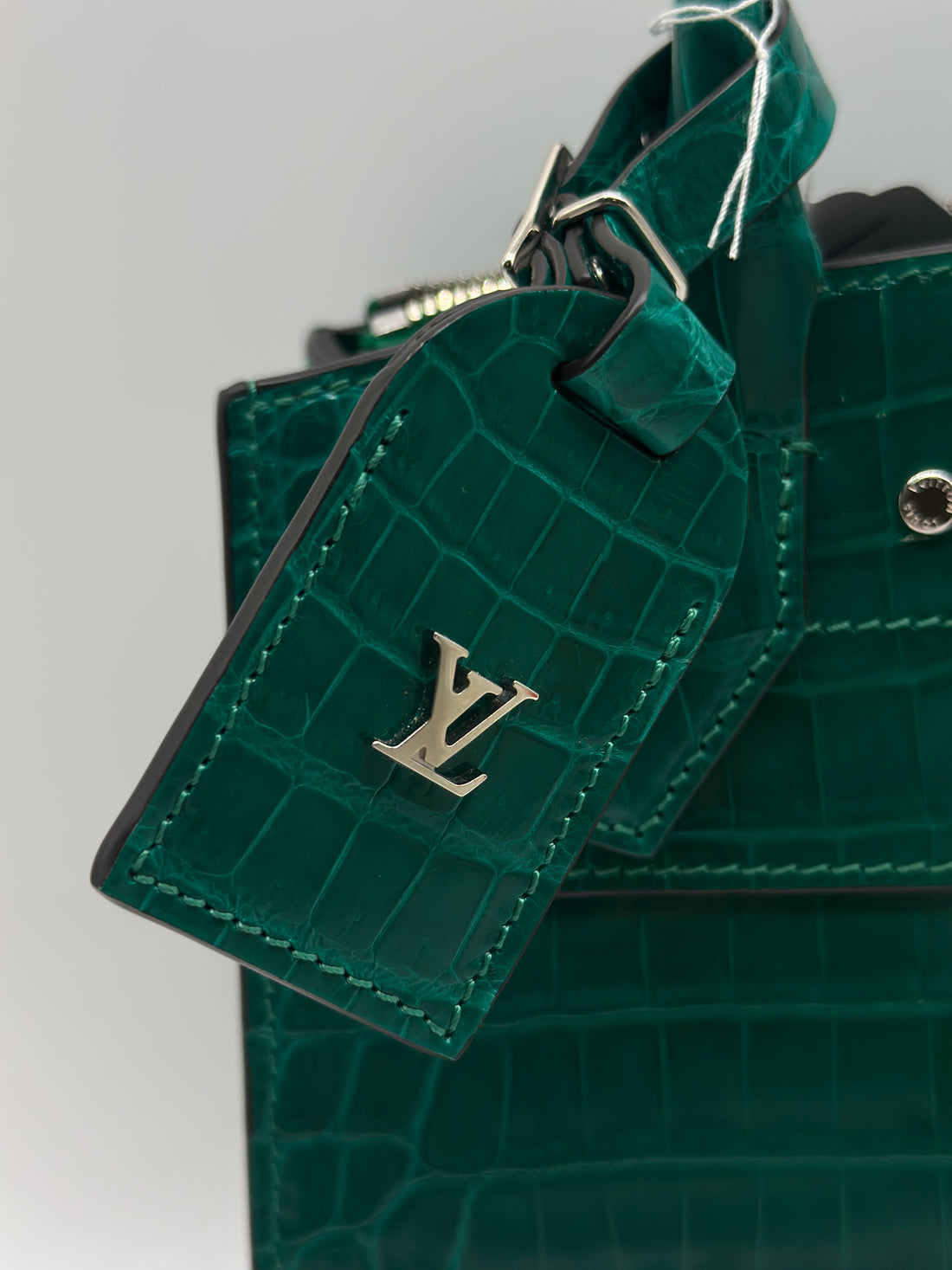 Louis Vuitton City Steamer Crocodile Nano Shoulder Bag Green lv1043