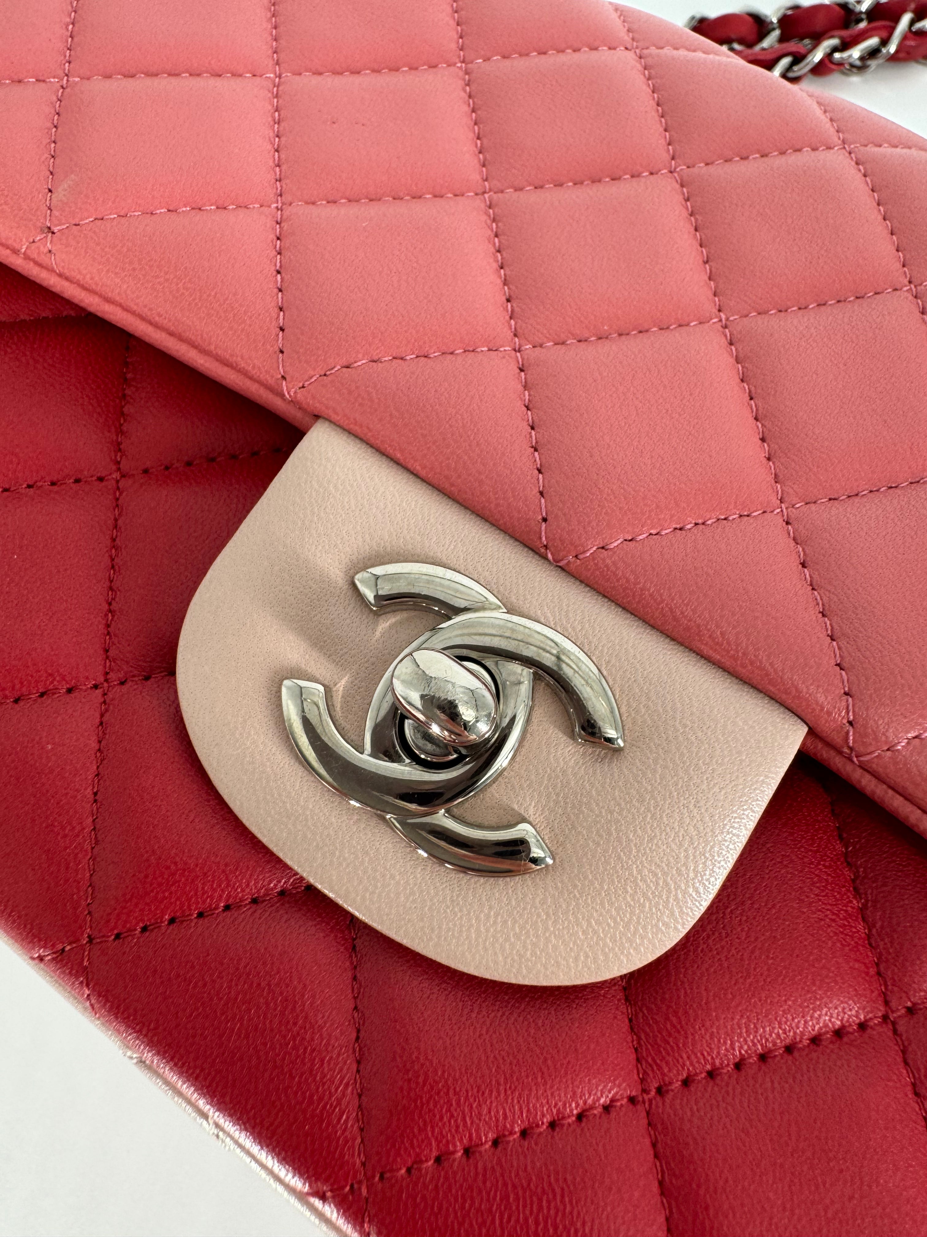 Chanel TriColor Pink Single Flap With Charms