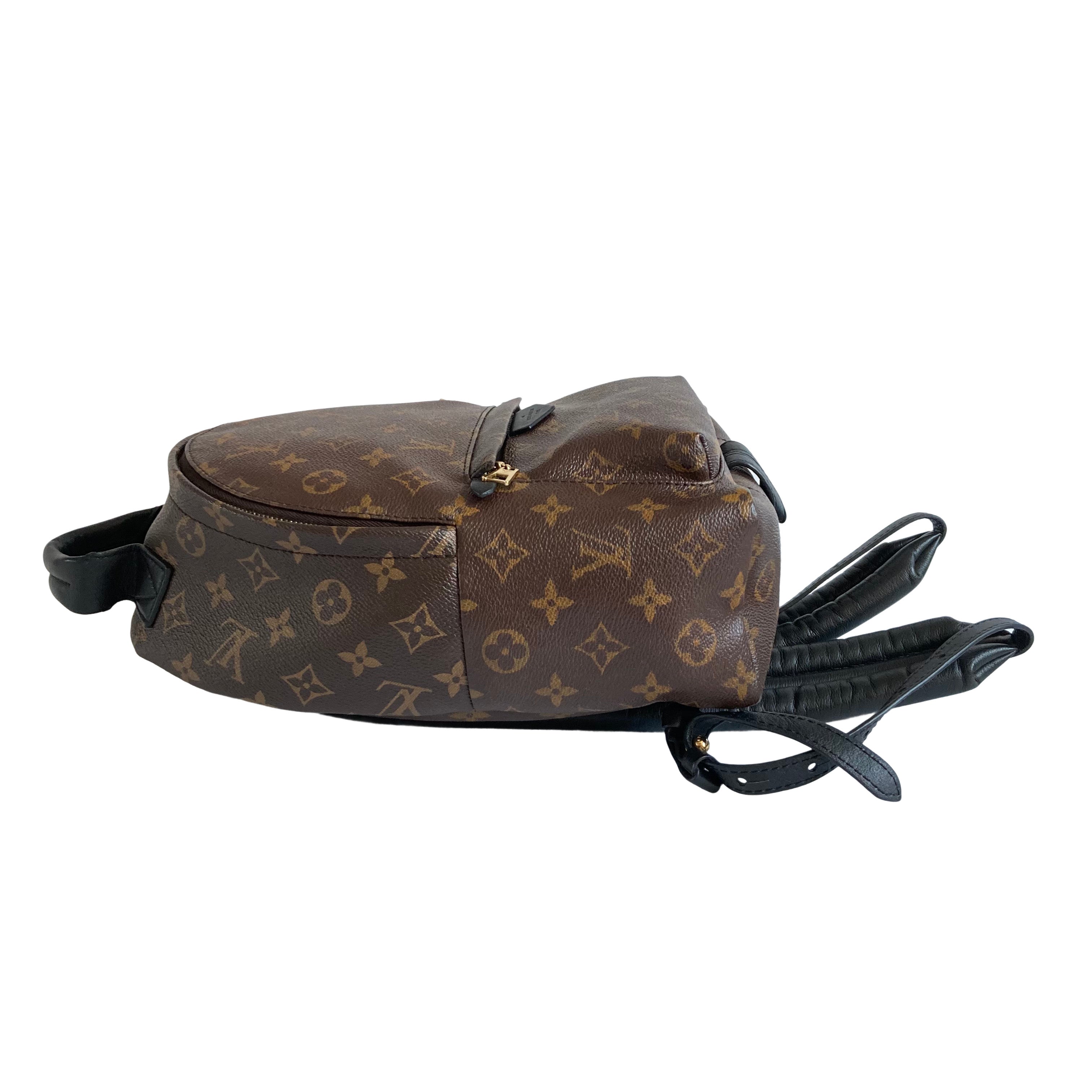 Louis Vuitton Palm Springs Backpack PM Classic Monogram LV809