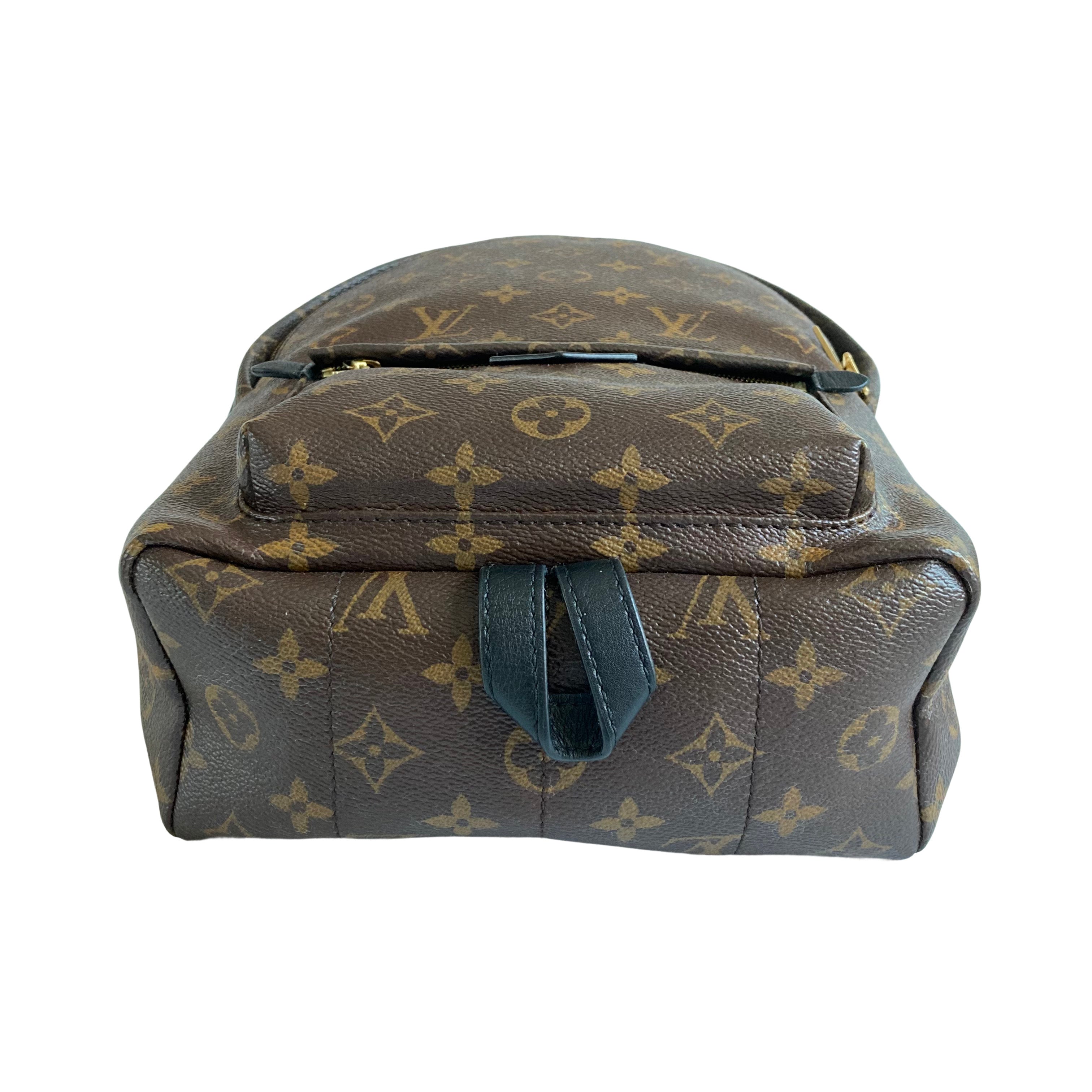 Louis Vuitton Palm Springs Backpack PM Classic Monogram LV809
