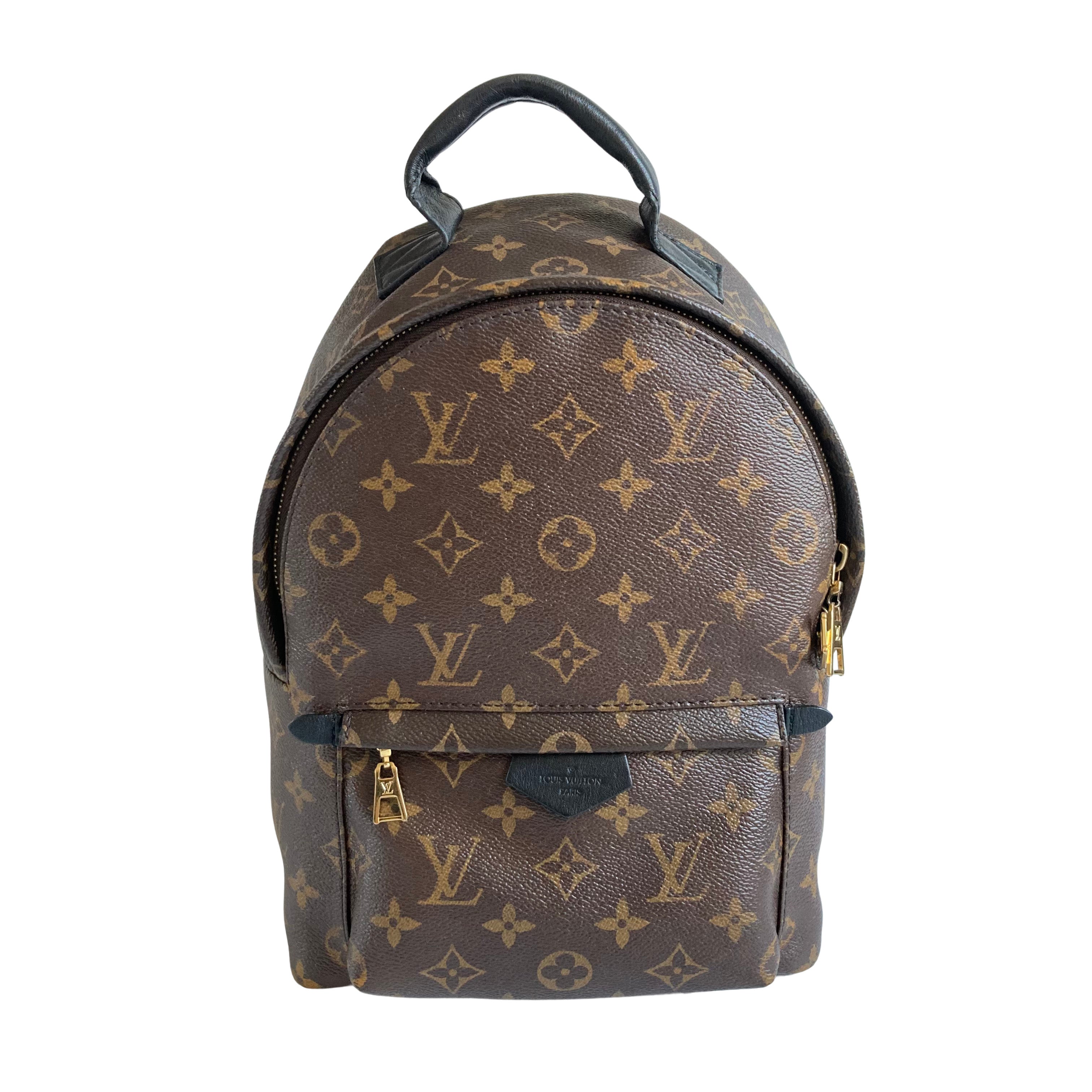Louis Vuitton Palm Springs Backpack PM Classic Monogram LV809