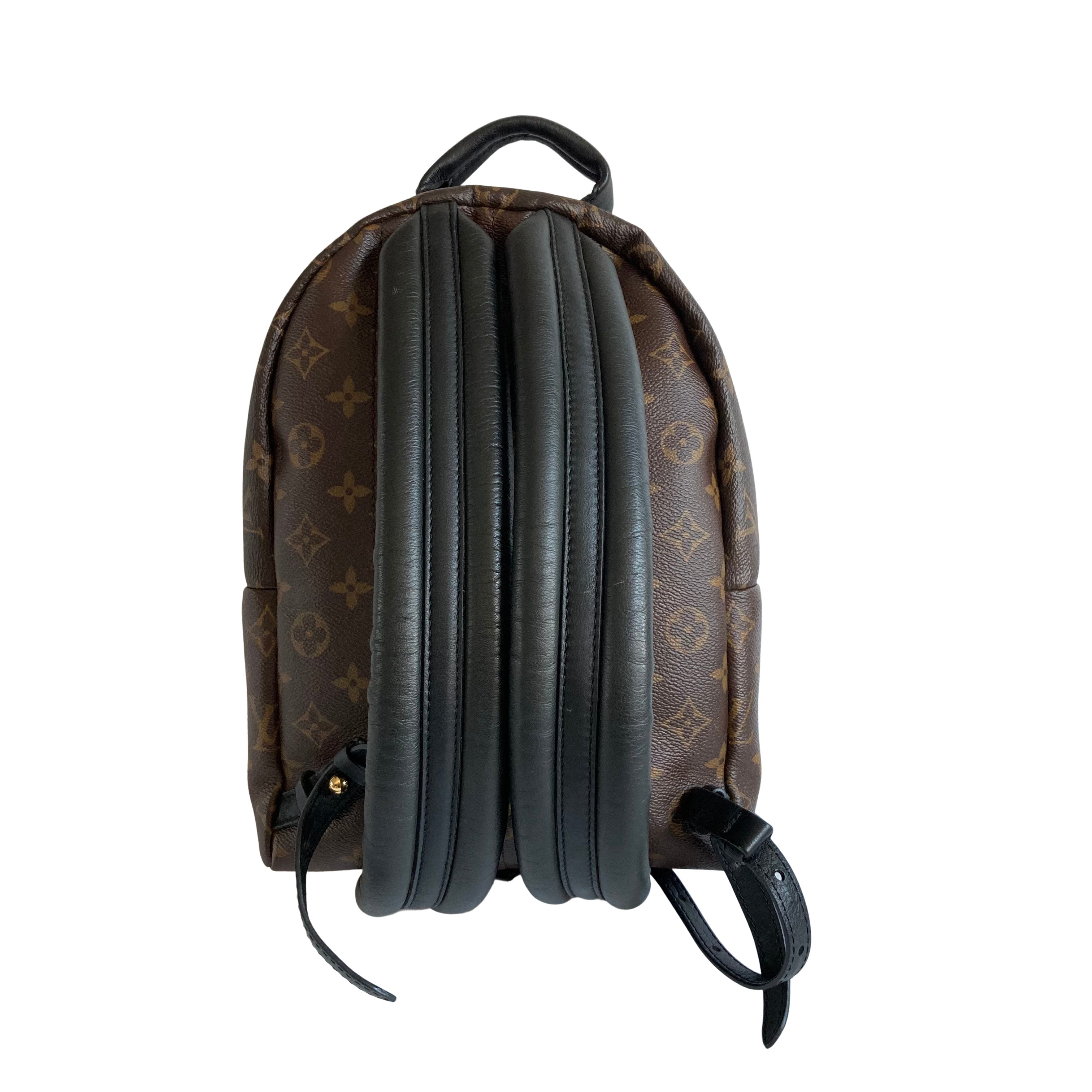 Louis Vuitton Palm Springs Backpack PM Classic Monogram LV809