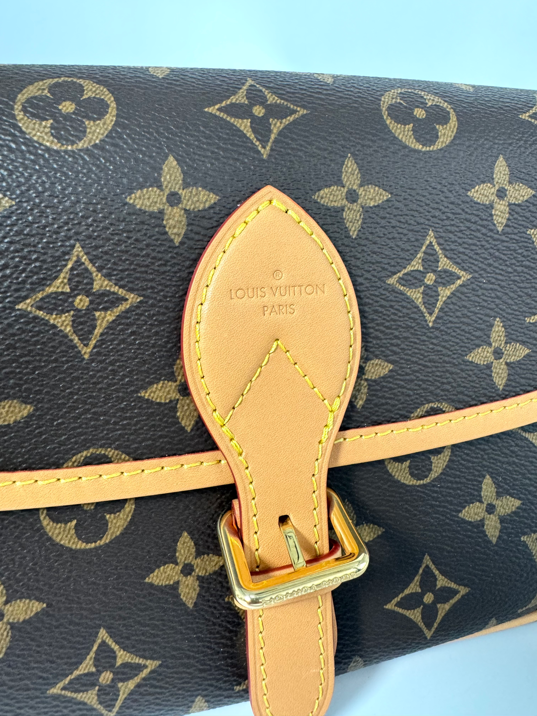 Louis Vuitton Diane Black Monogram Fullset 2025 microchipped