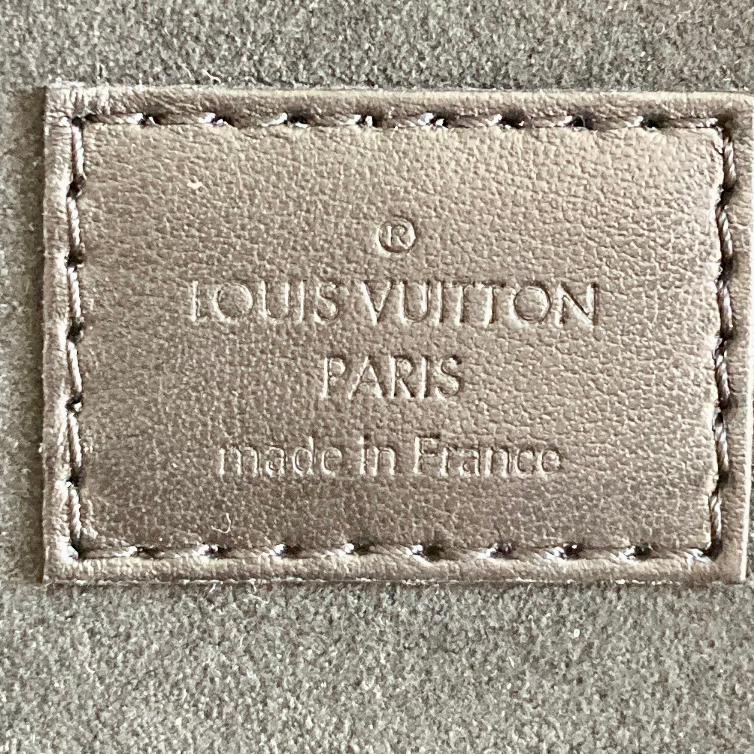 Louis Vuitton Cannes Reverse Monogram Shoulder Bag Microchip LV1032