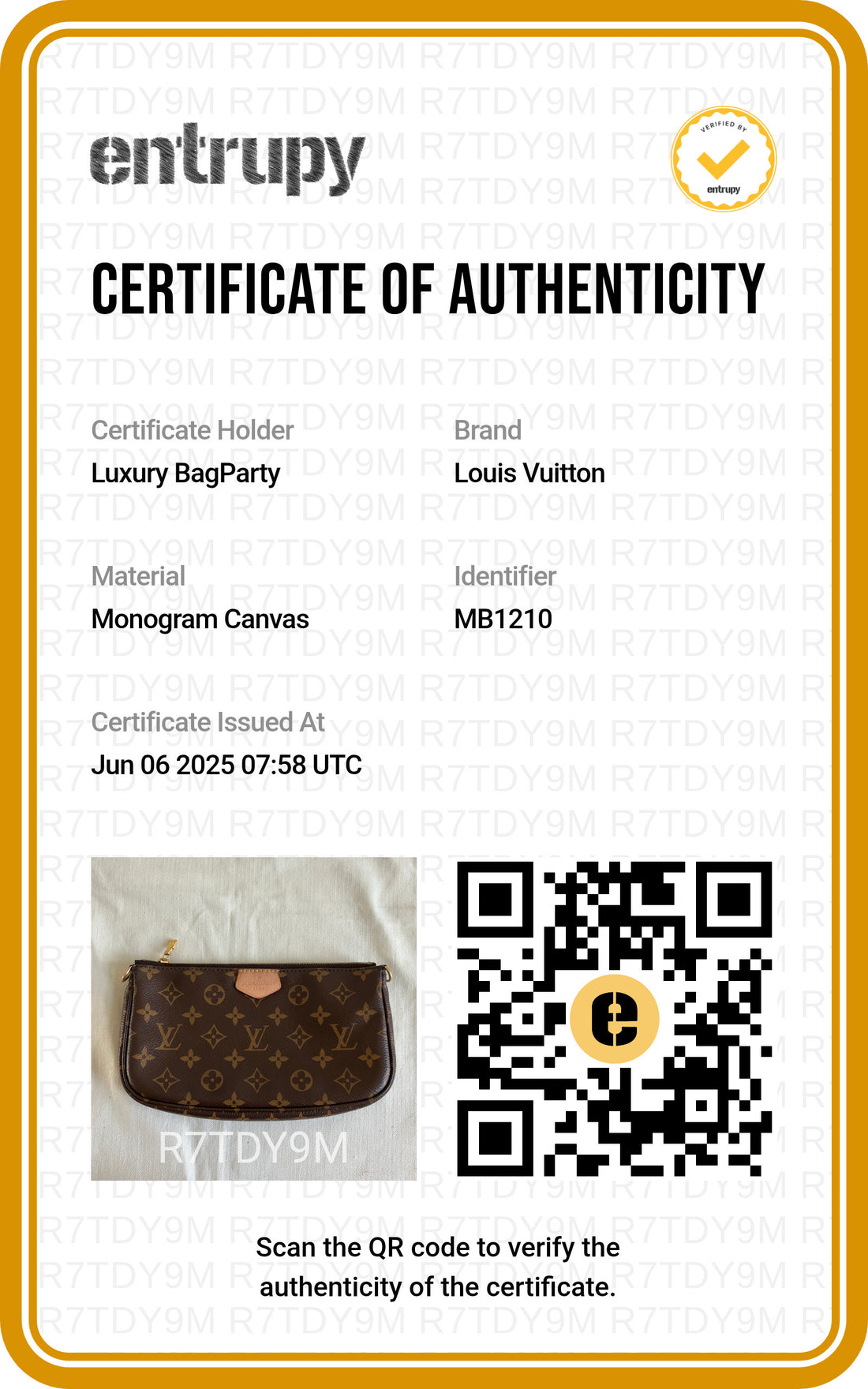 Louis Vuitton Multi pochette accessories 1