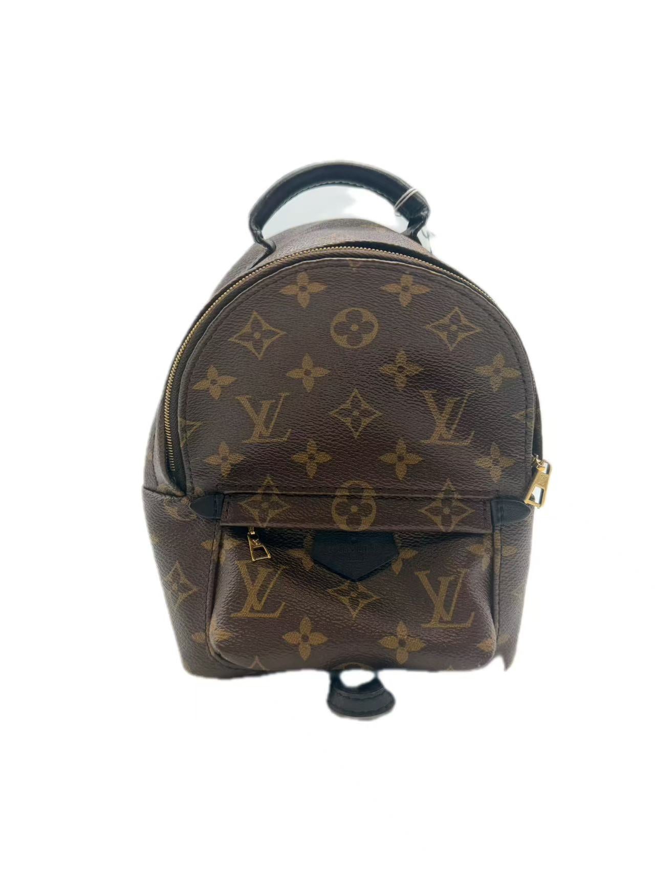Louis Vuitton Monogram canvas Palm Springs Mini backpack LV1259