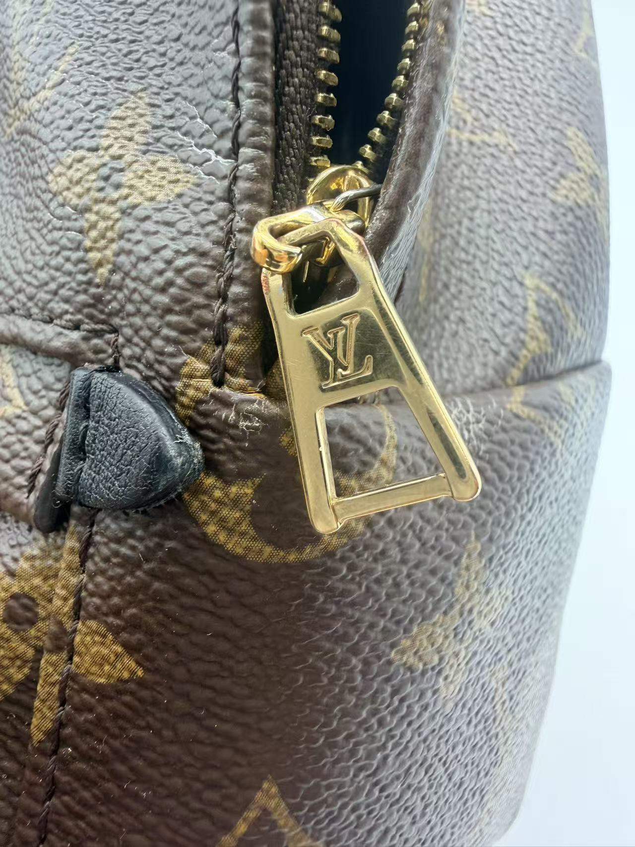 Louis Vuitton Monogram canvas Palm Springs Mini backpack LV1259