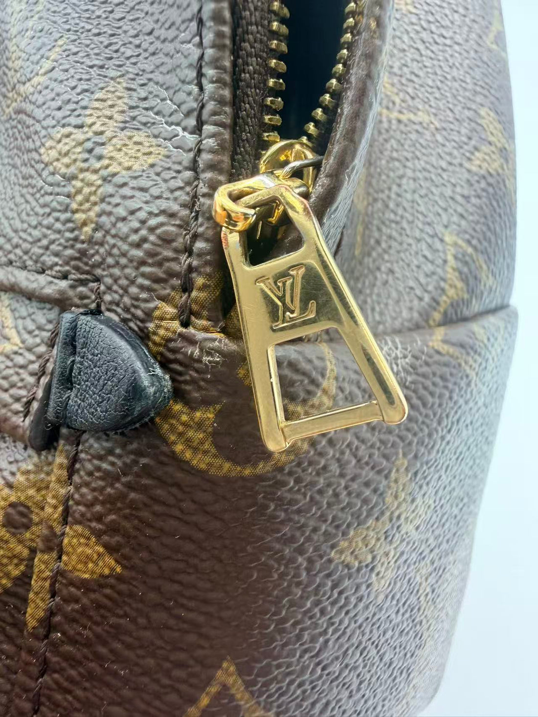 Louis Vuitton Monogram canvas Palm Springs Mini backpack LV1259