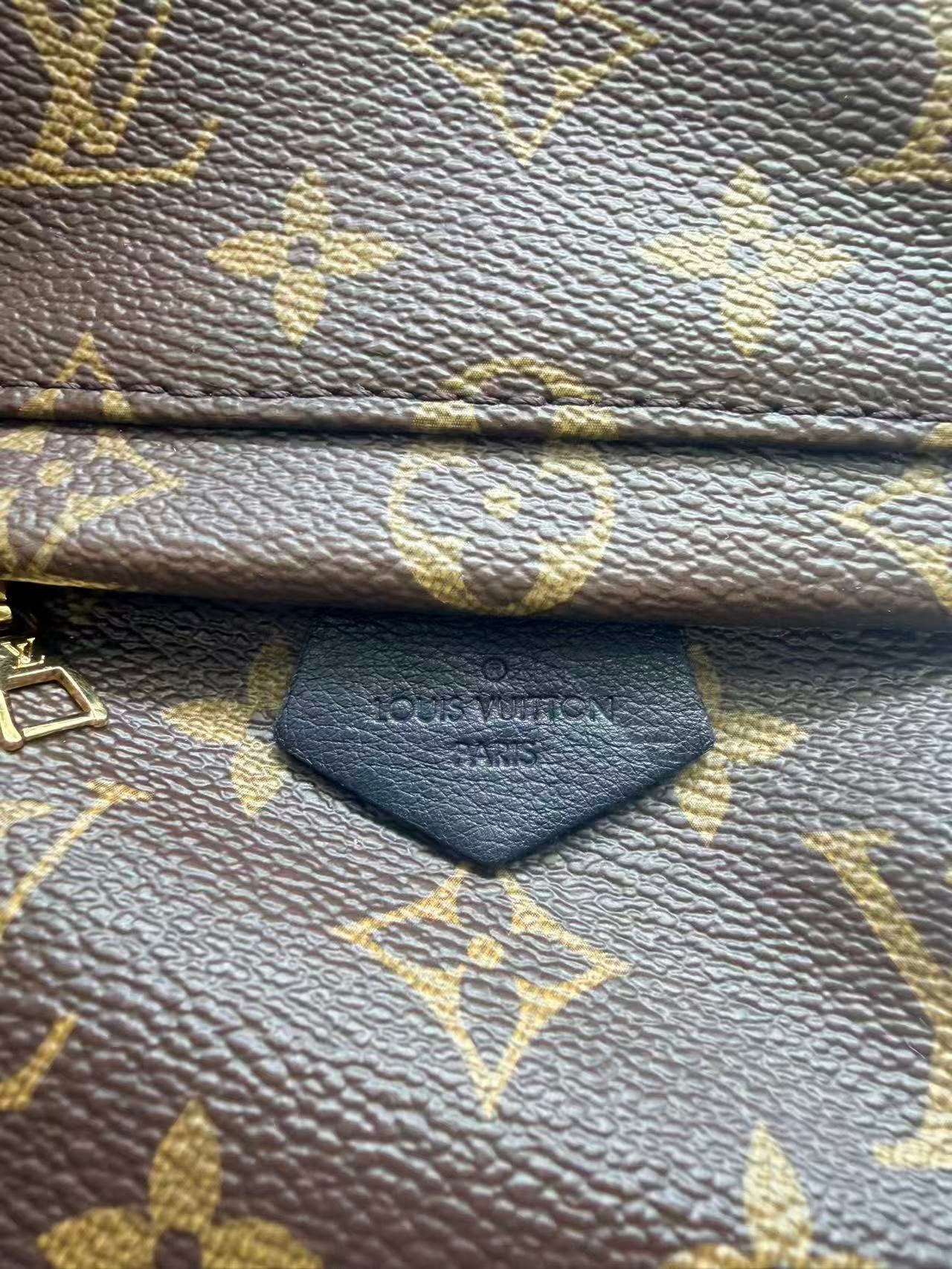 Louis Vuitton Monogram canvas Palm Springs Mini backpack LV1259